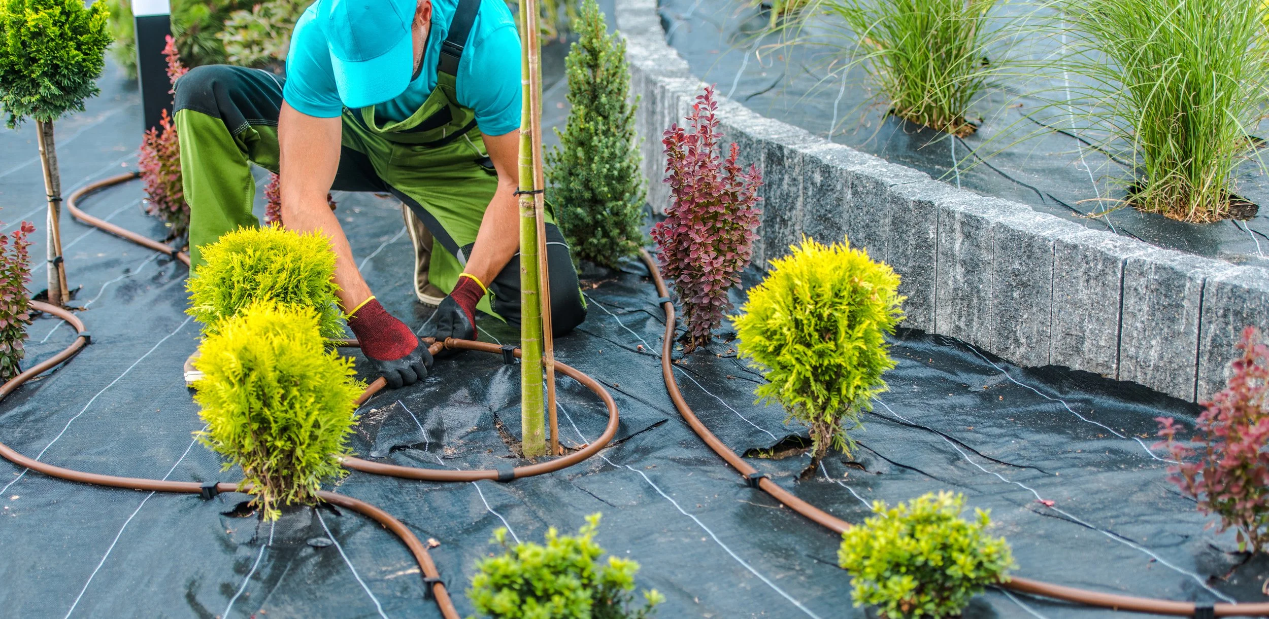 5 Ways to Keep Your Property Looking Its Best
