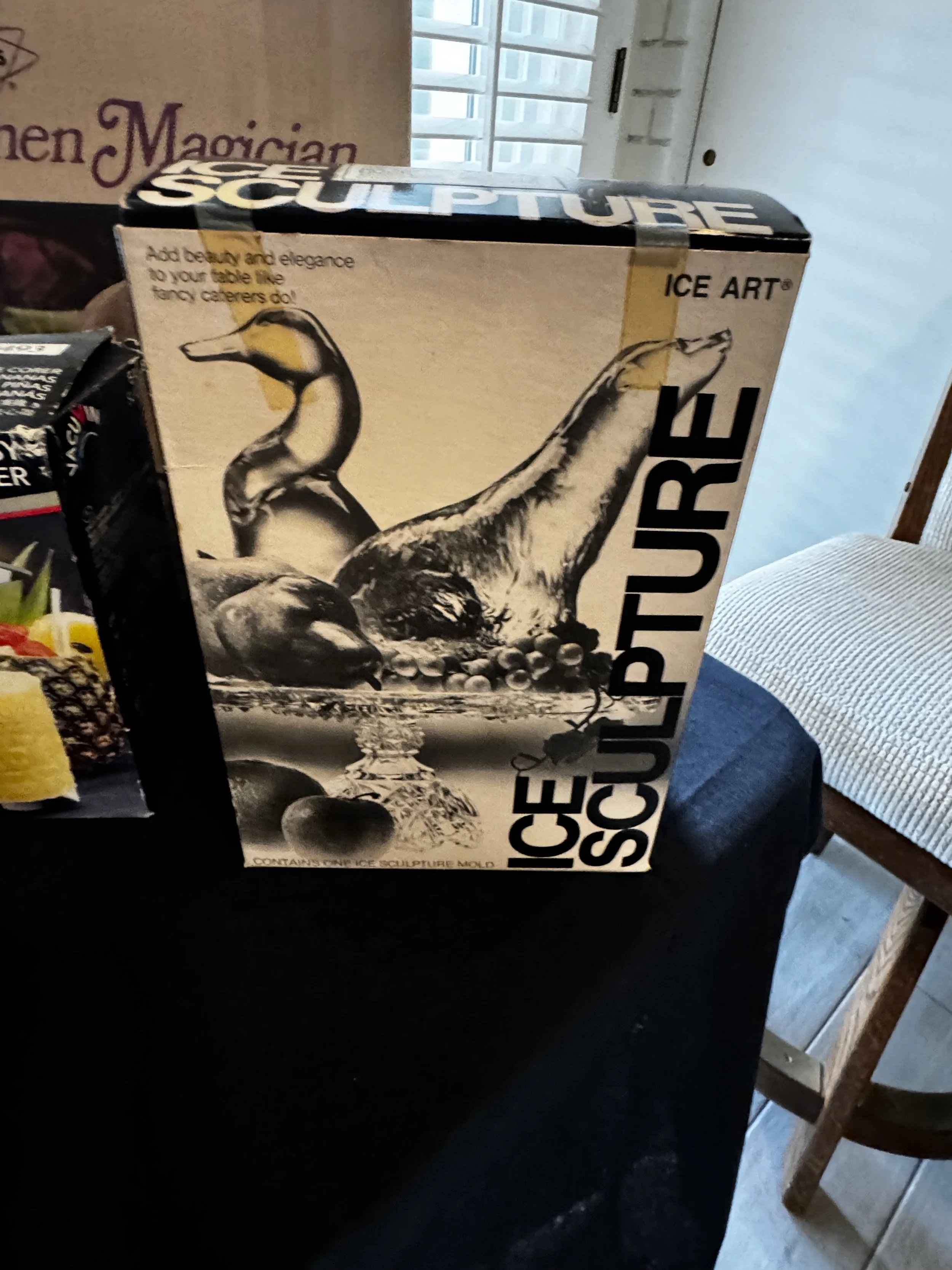 Box labeled 'Ice Age Sculpture' with an illustration of a dinosaur on it, placed on a dark table.