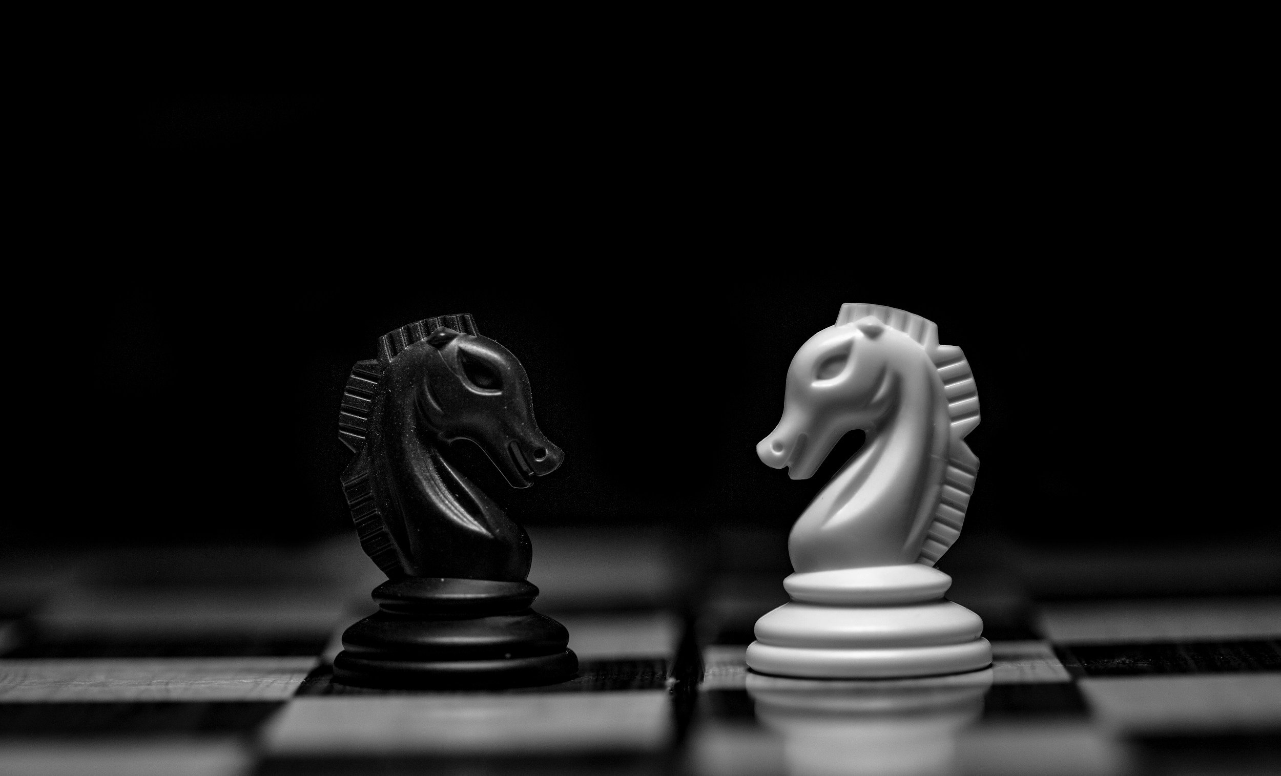 WǍNU Investments Chess piece knight black and white