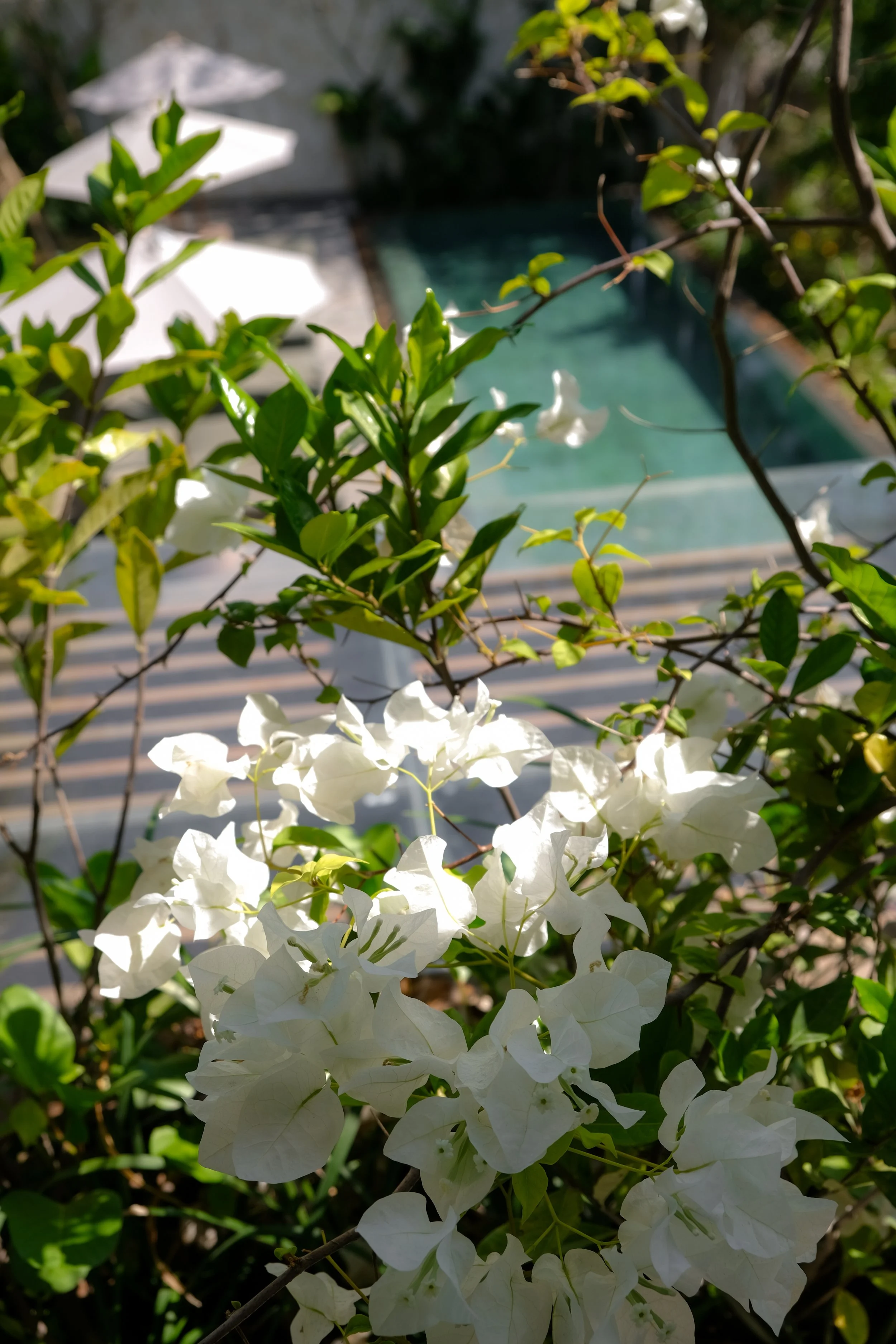 DSCF3028.jpg