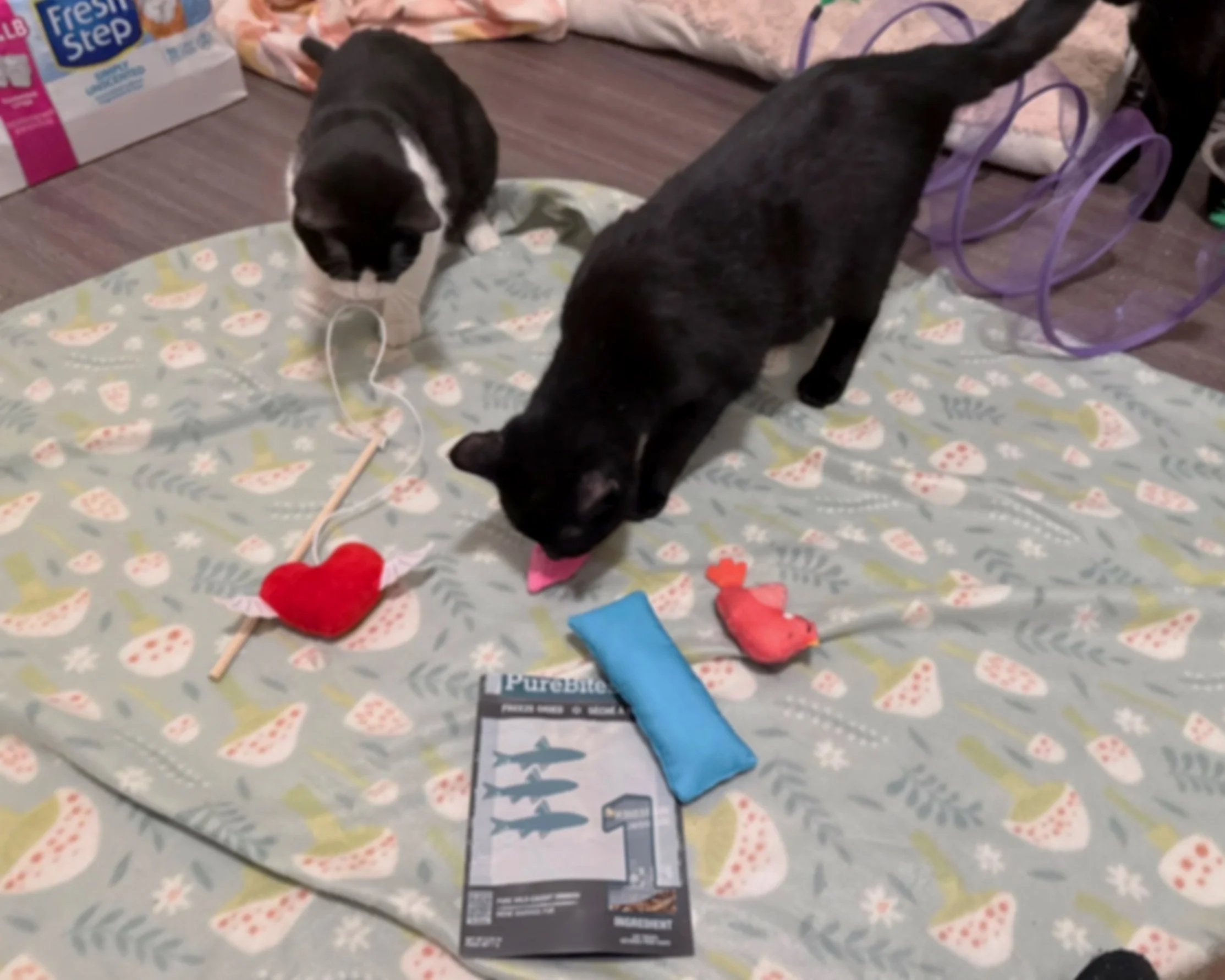 A black and white kitten and a black cat playing with toys on a Christmas-themed blanket. The kitten is holding a string attached to a red plush heart, while the larger black cat is sniffing a pink toy. There are various toys, including a blue pouch, a red plush, and a packaged item labeled 'PURBONE' on the blanket. In the background, there are a purple ribbon and some household items.