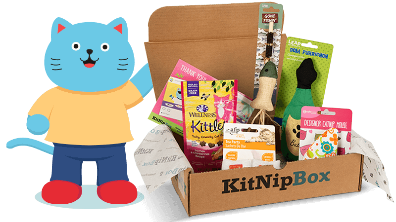 A cartoon cat character in a yellow shirt and blue pants with red shoes standing next to an open box filled with various gift items and cards, against a black background.