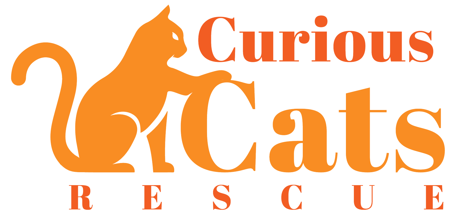Curious Cats Rescue