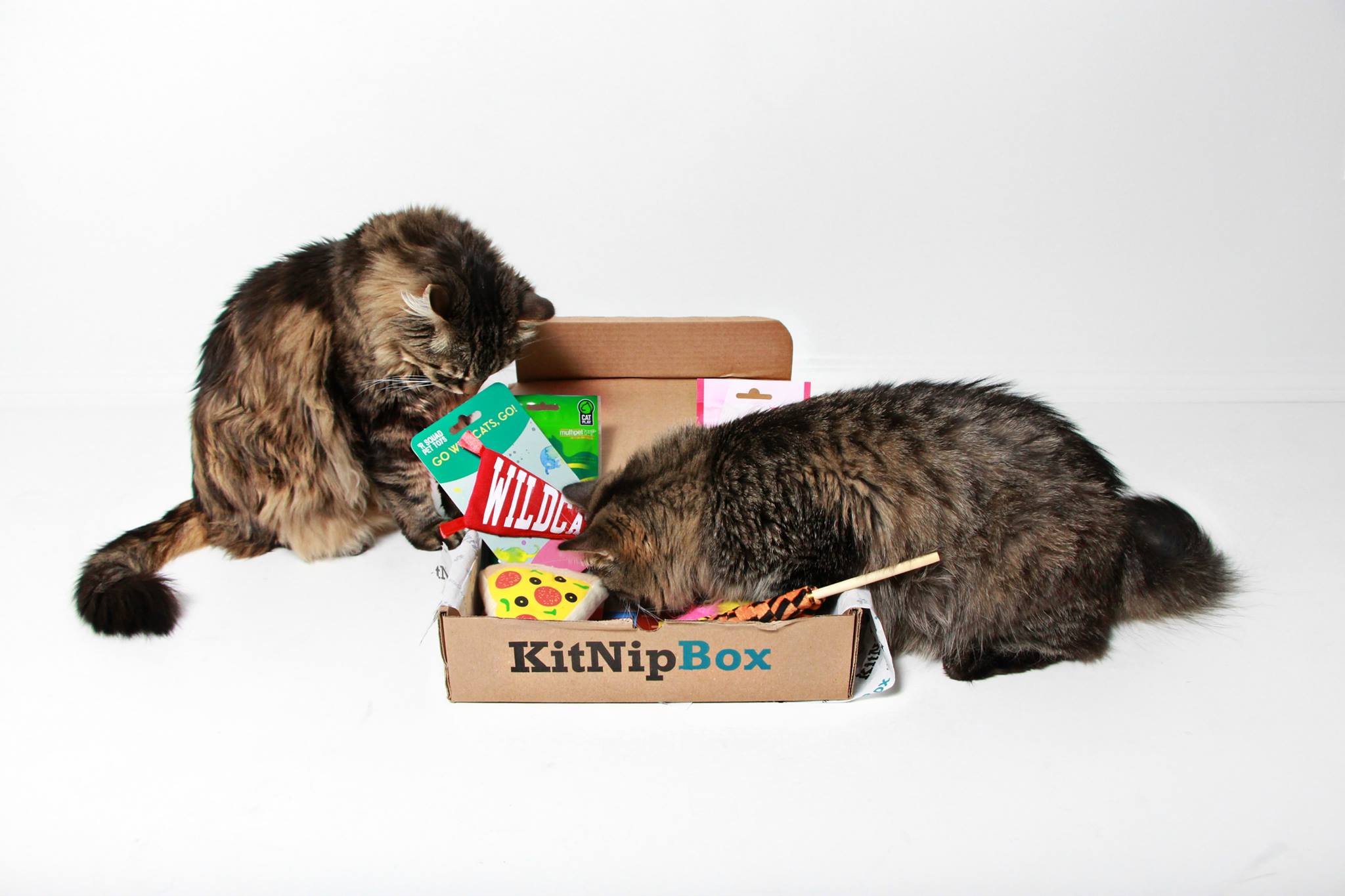 Two cats examining a cardboard box labeled 'KitNipBox' with various toys inside.