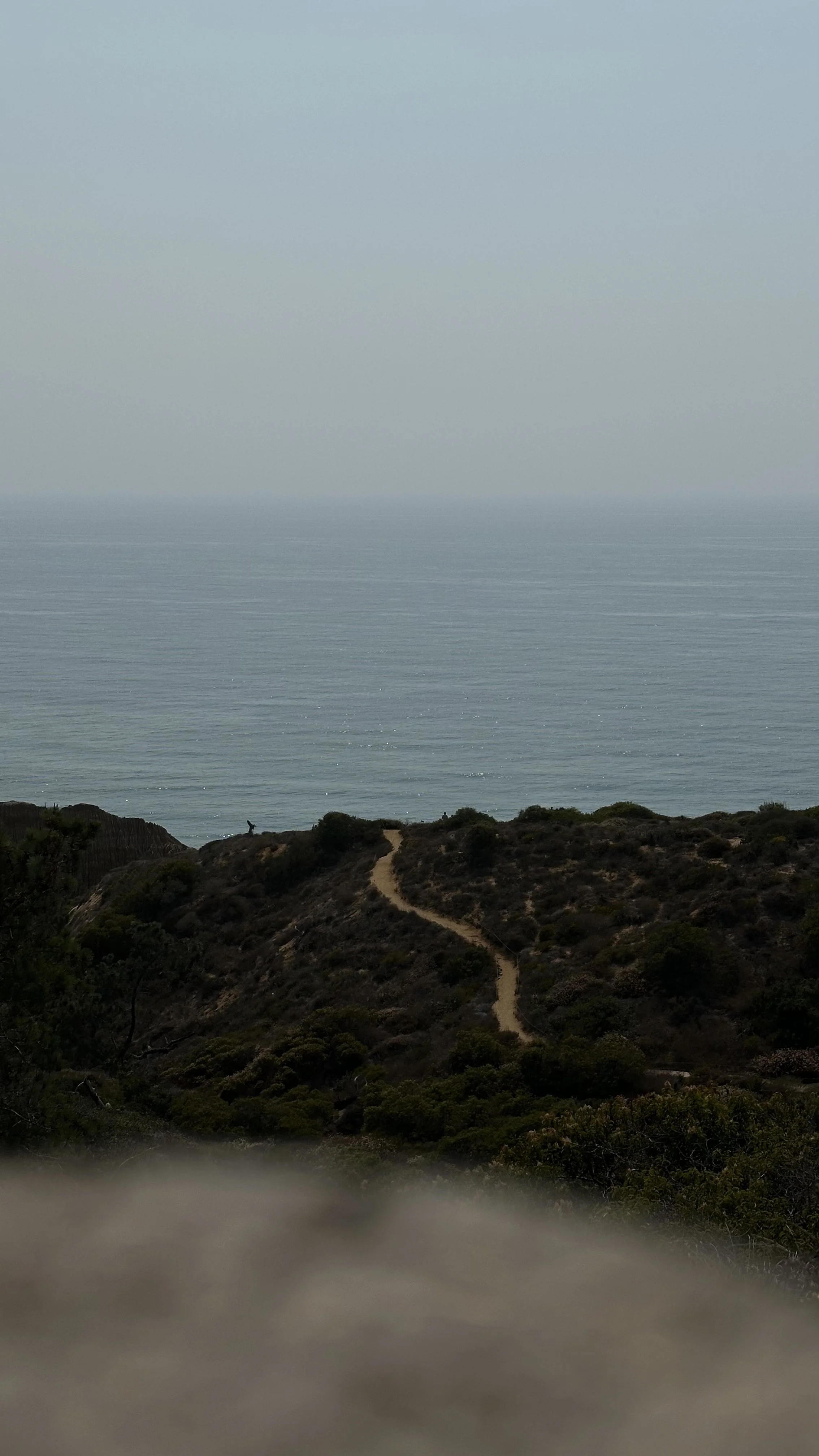 A coastal landscape with a dirt trail winding through vegetation on a hillside, leading toward the ocean with calm waters and a hazy sky.