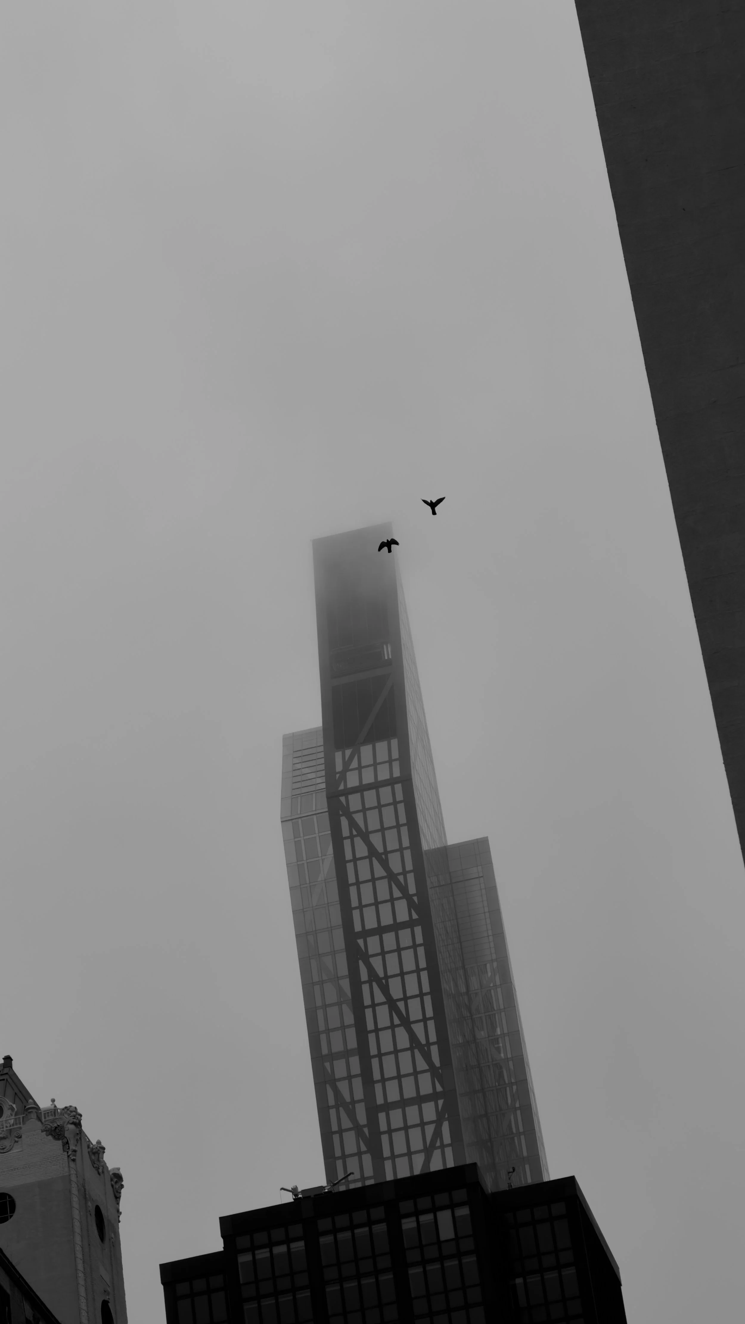 Black and white photo of a tall, modern skyscraper in New York City with a cloud-covered sky. Two birds are flying in sychronicity.