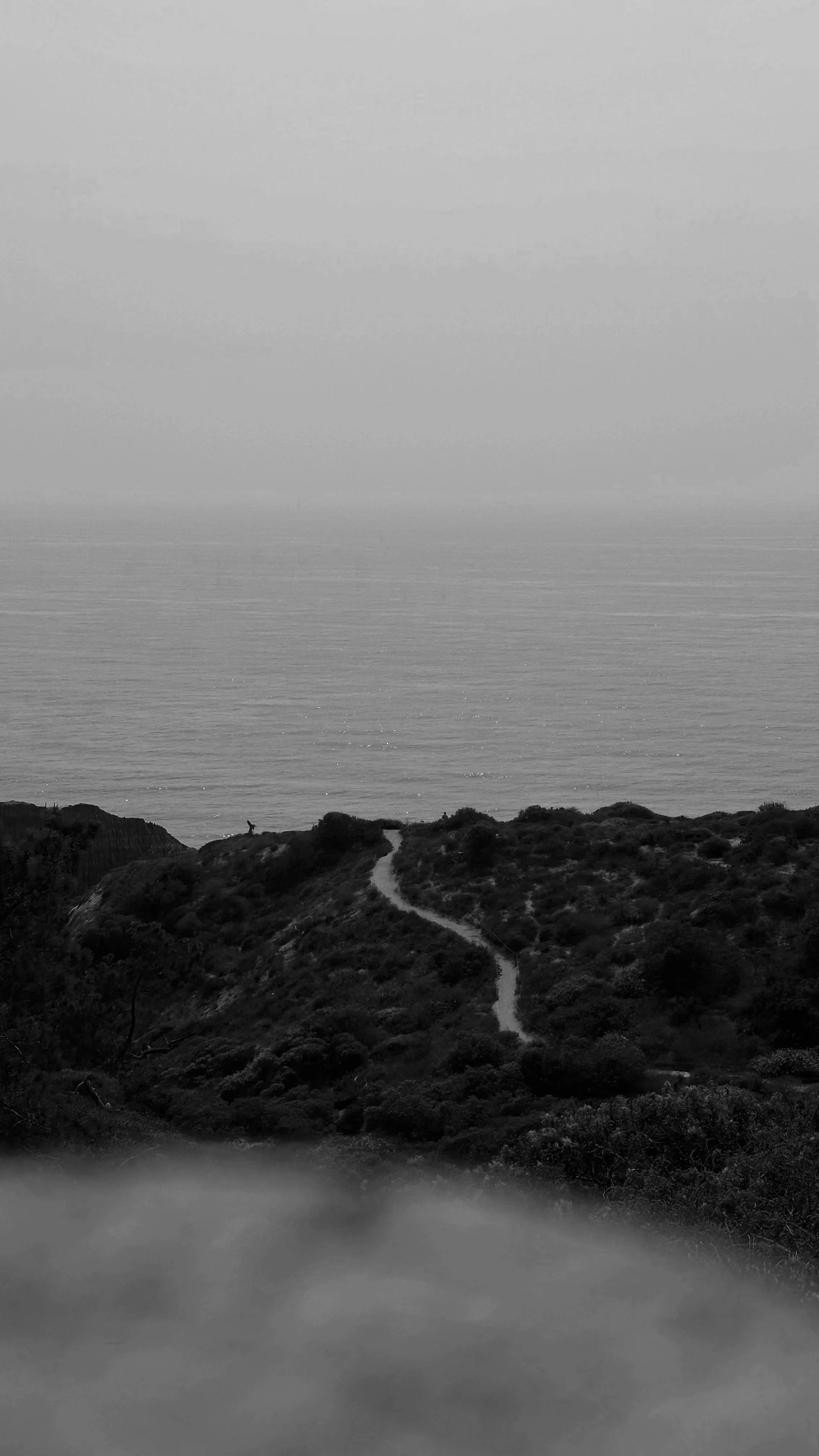 Black and white photo of a coastal landscape with a winding path leading to the beach, ocean, and sky in the background.