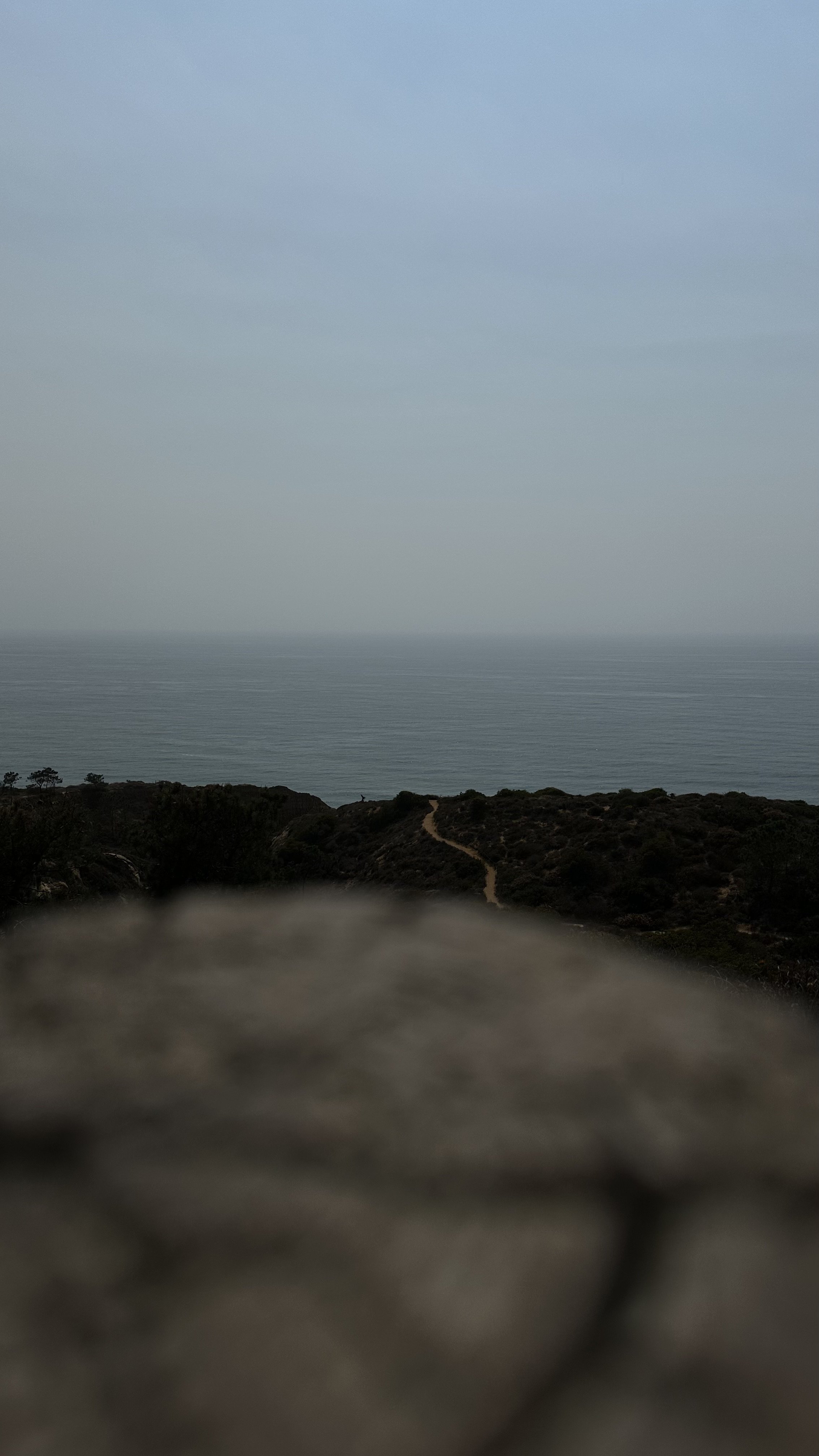 View of a coastal landscape with a trail leading through bushes towards the ocean under a cloudy sky.