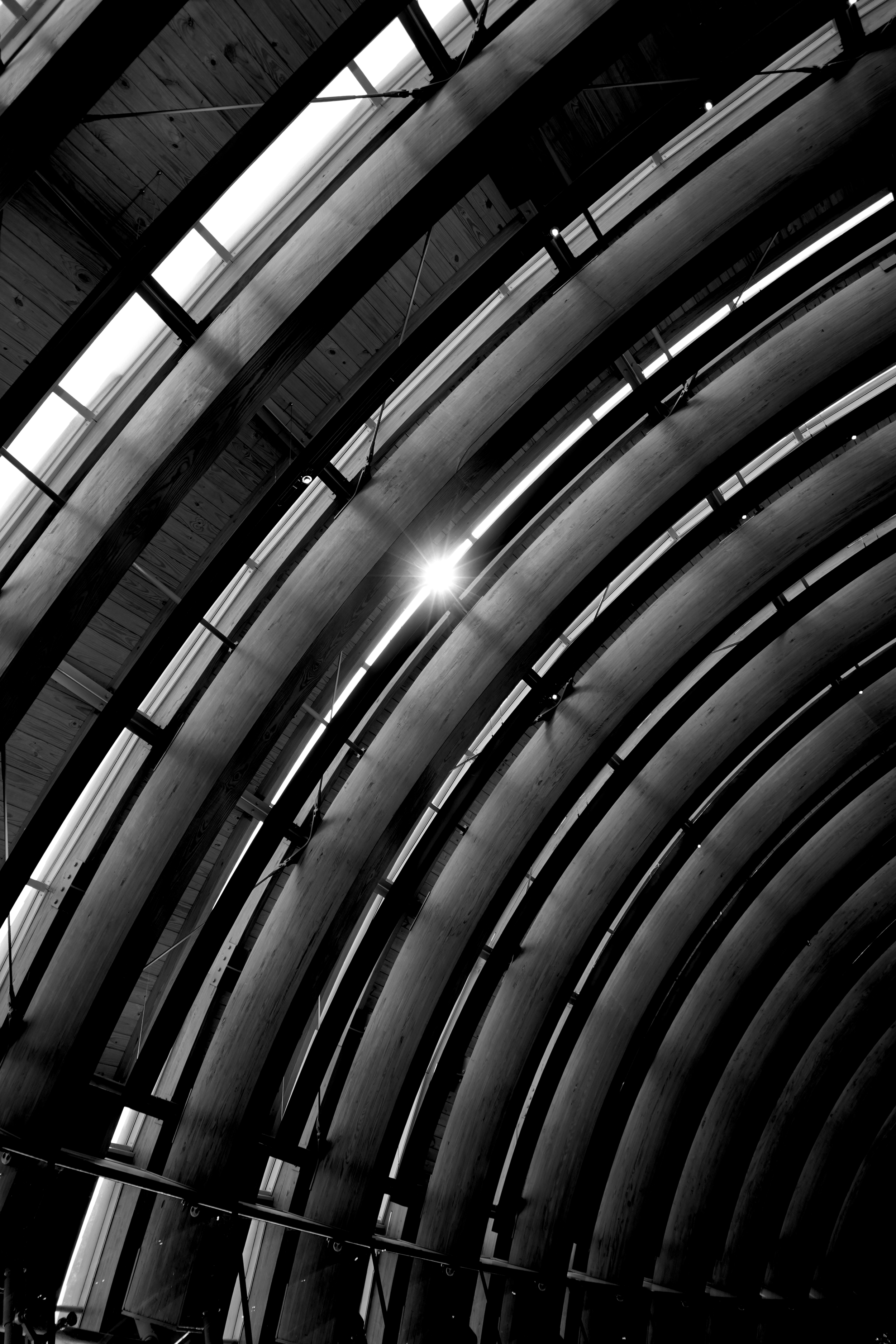 Interior view looking up at the ceiling of a building featuring a modern design with curved wooden beams and linear lighting. The photo is in black and white, with sunlight streaming through windows, creating a bright spot in the bottom center.