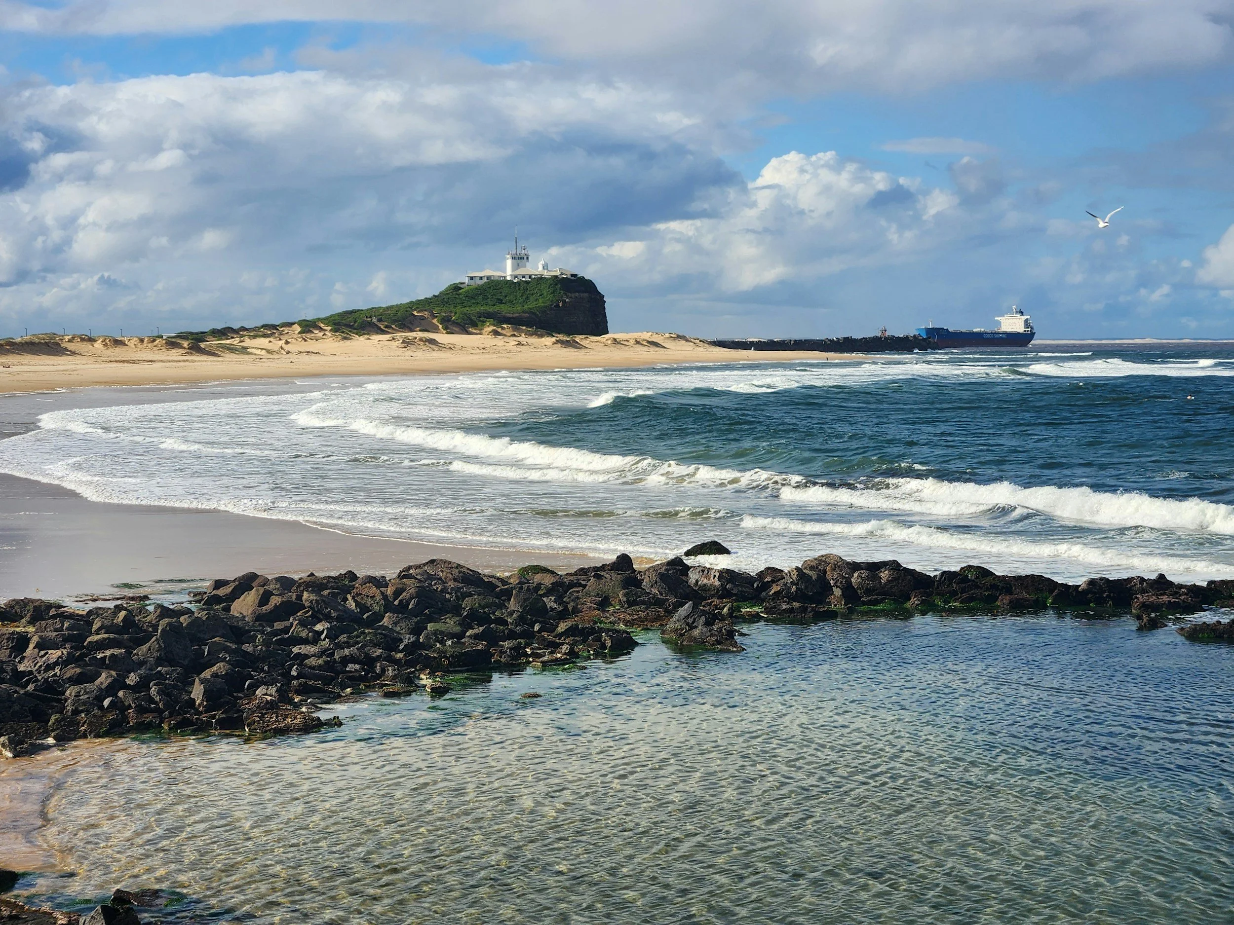Beach with rocky foreground, sandy shore, ocean waves, a distant cliff with a white building, a large cargo ship, cloudy sky, and a seagull flying.