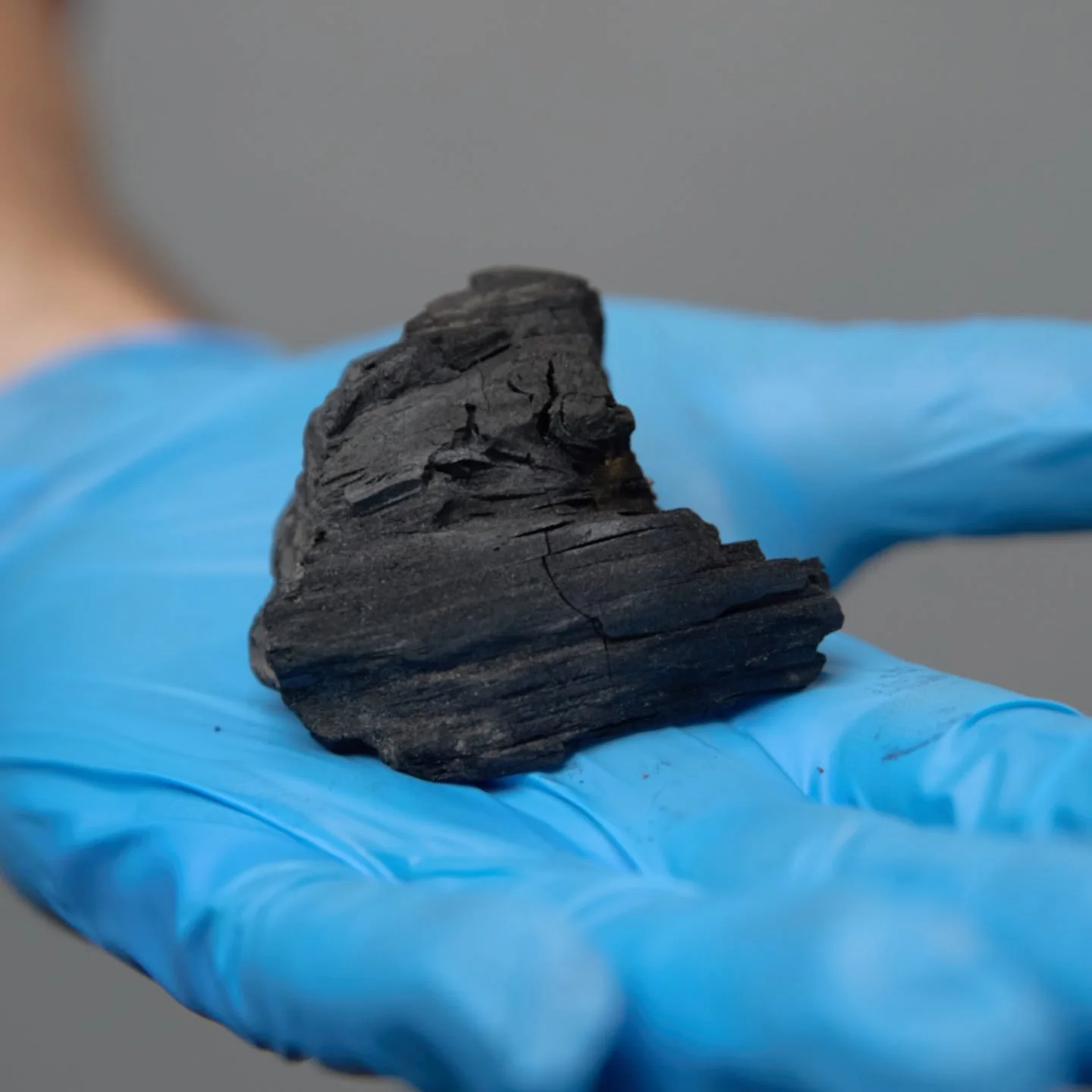 Close-up of a black coal specimen on a blue glove, with a neutral gray background.