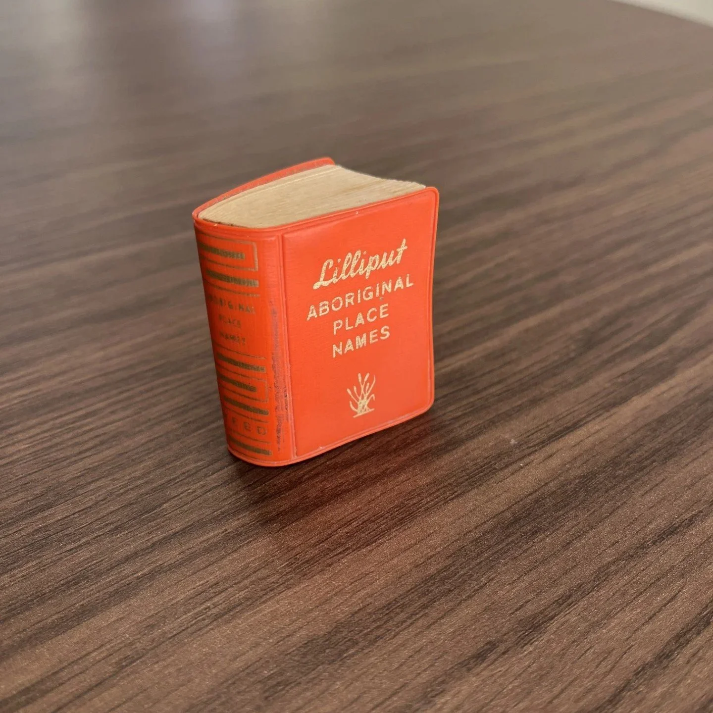 Miniature orange book titled 'Lilliput Aboriginal Place Names' on a wooden surface.