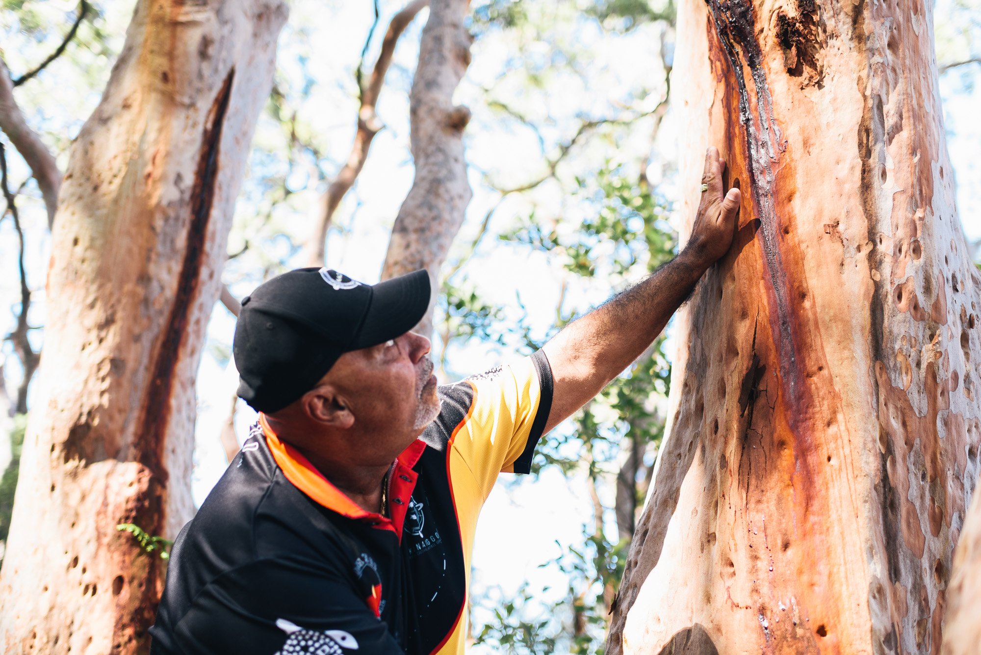 A man wearing a black cap and a colorful sports shirt is touching a tall tree with peeling bark, in an outdoor setting with sunlight filtering through the branches and leaves.
