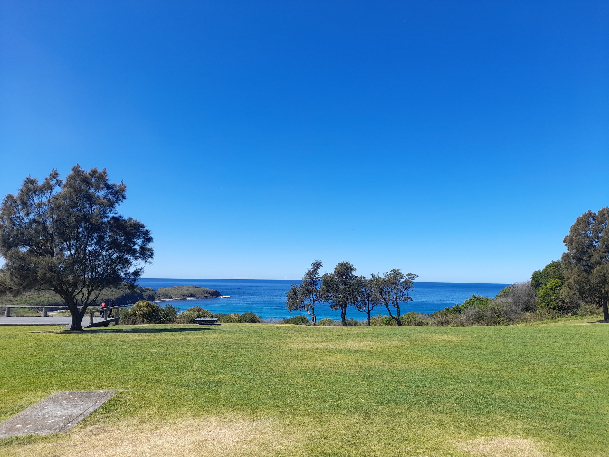 Park with green grass, trees, and benches overlooking the ocean under a blue sky.