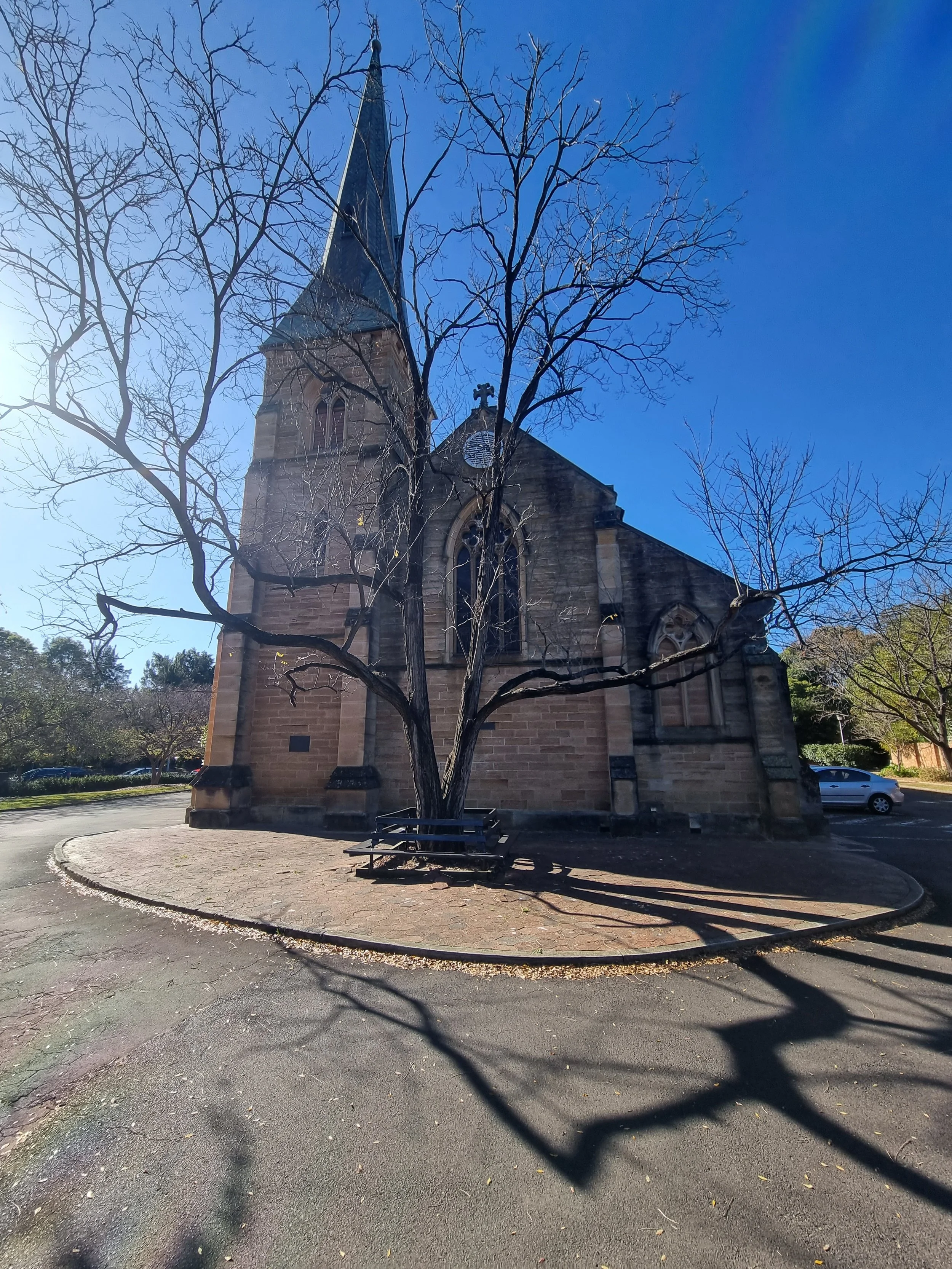 A stone church with a tall spire, Gothic windows, and a clock on its facade. Bare trees surround the church, and there is a bench beneath one of the trees. The sky is clear and blue. A parking lot with a few cars is visible in the background.