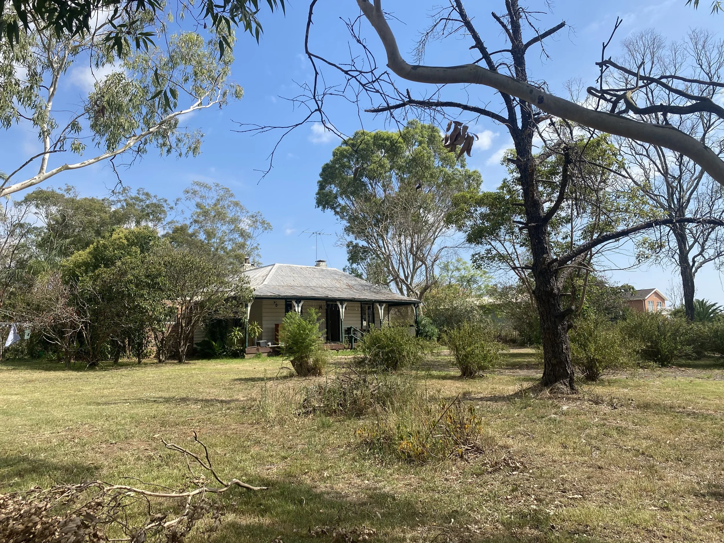 A backyard scene with a house, trees, and a blue sky. The trees have some leaves and some are bare.