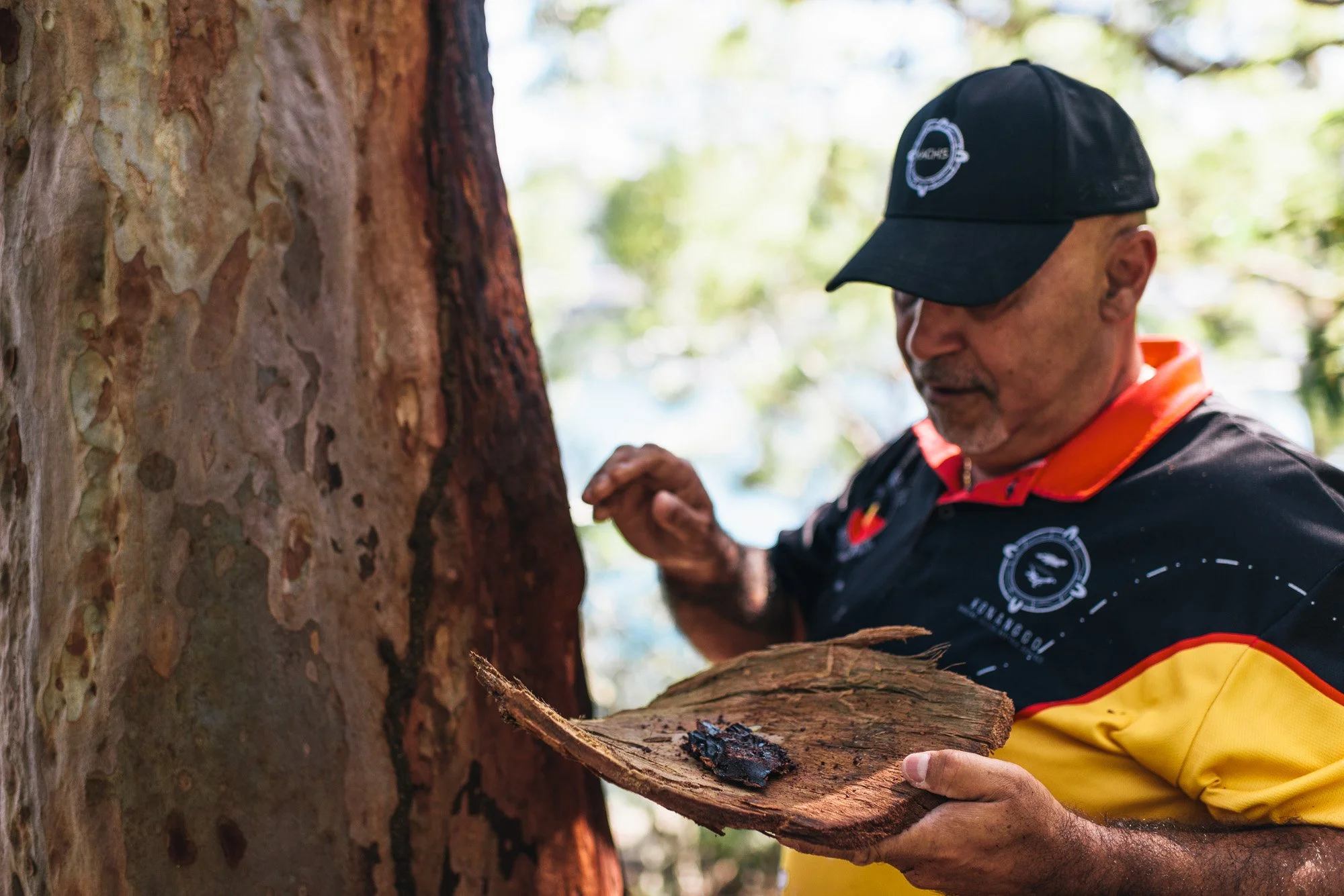A man in a black cap and a black jacket with red and yellow sleeves is examining burnt wood inside a tree trunk.