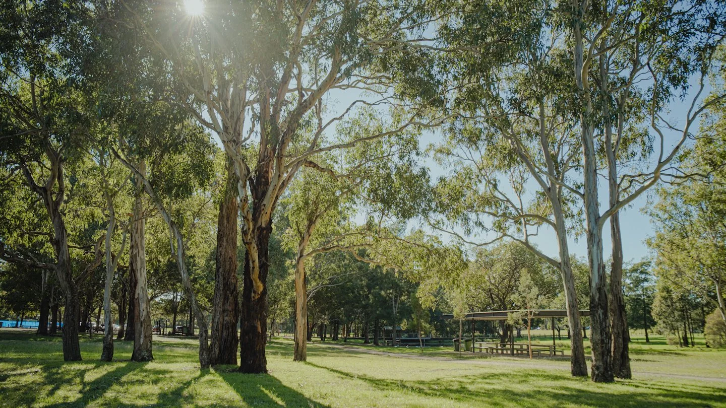 Paddock precinct, Parramatta