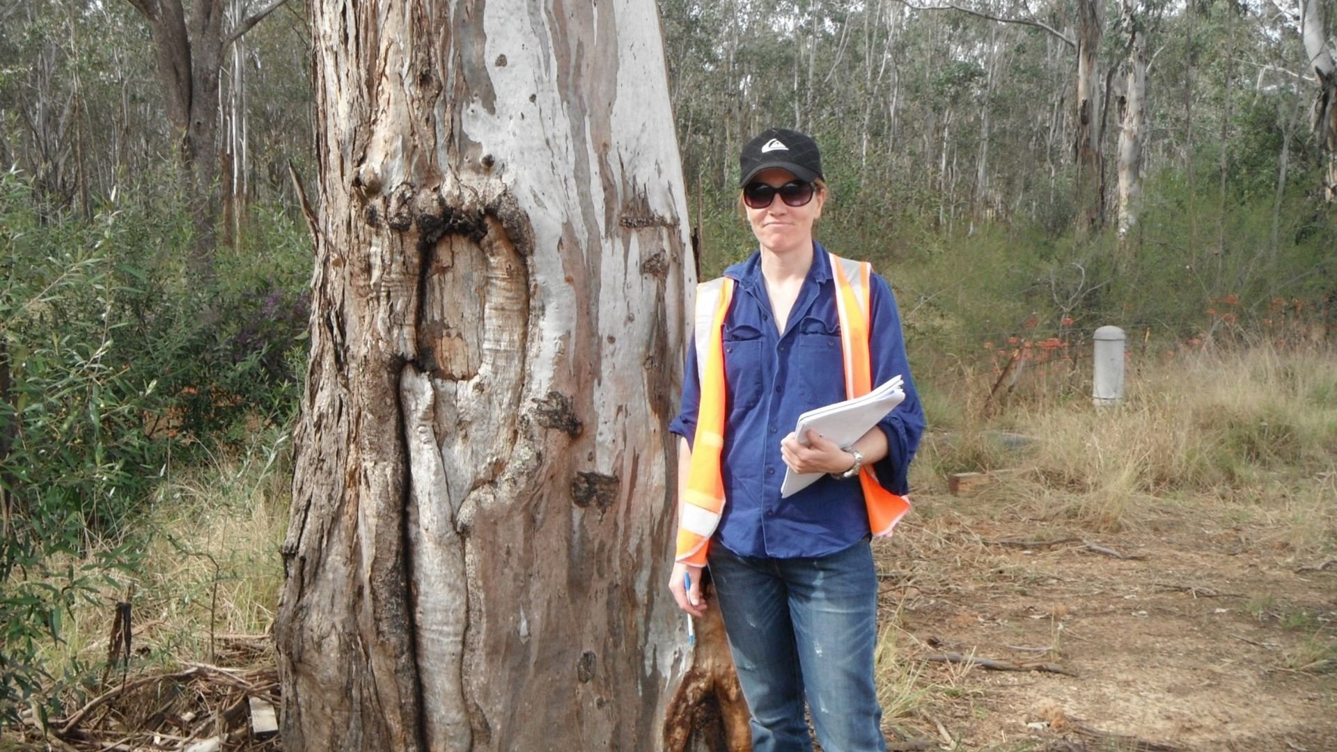 A woman in sunglasses, a black cap, and a safety vest stands beside a large tree with peeling bark and a face-like knot, holding a notepad and pen, in a forested area.