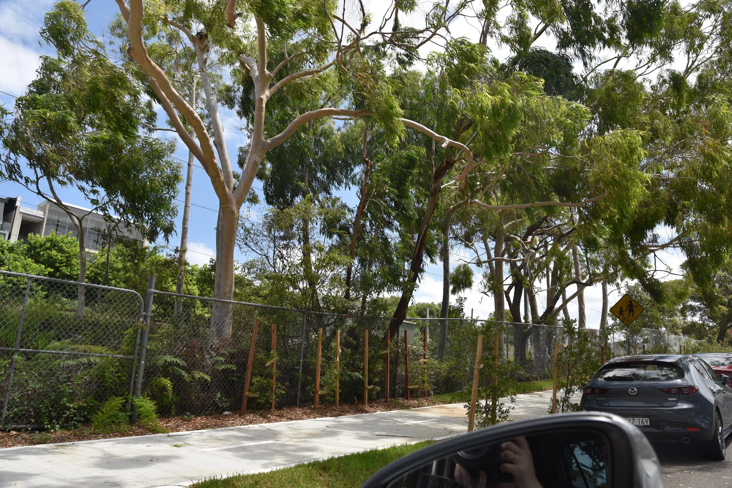 Sutherland to Cronulla Active Transport Link