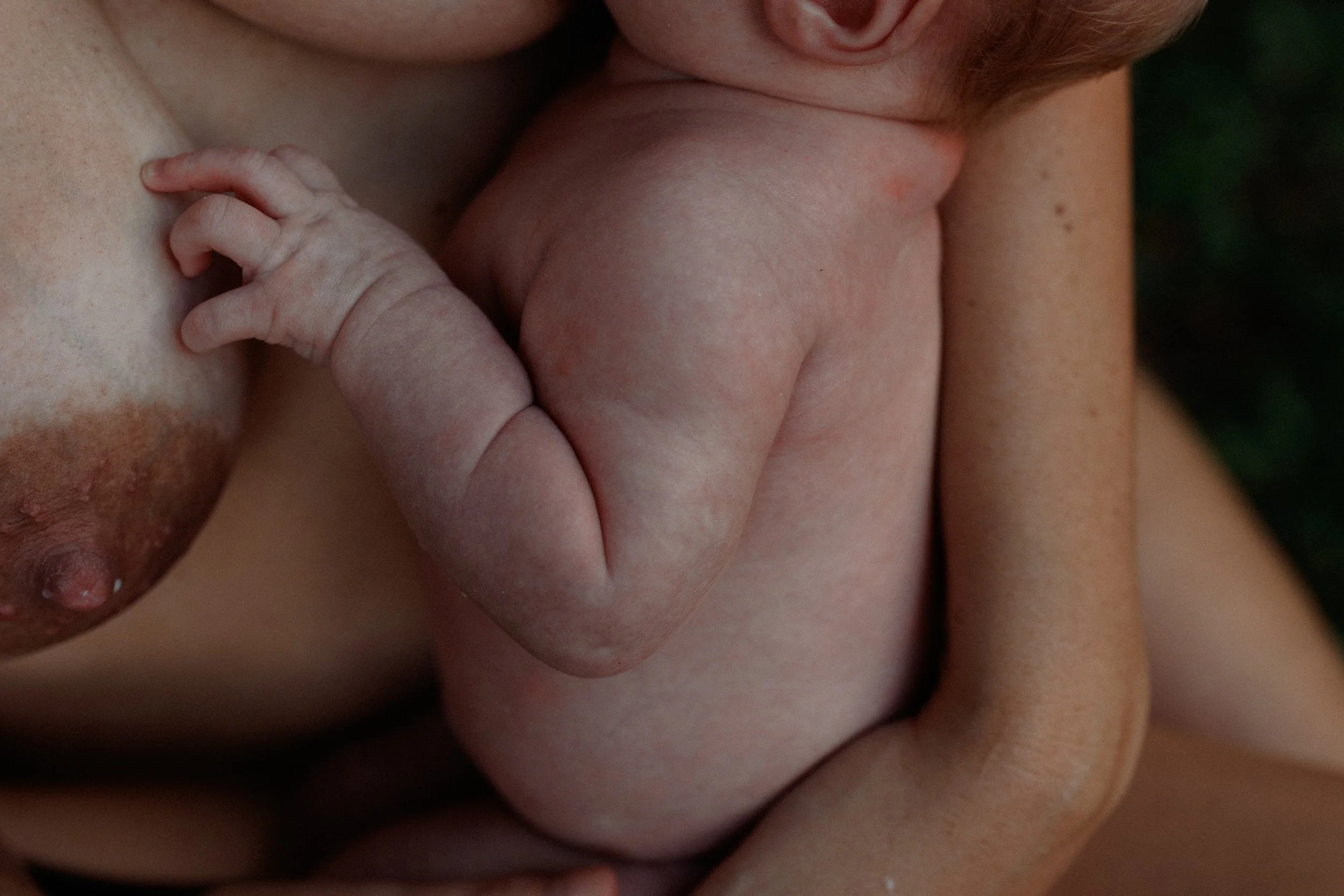 A close-up of a newborn baby breastfeeding from a mother, focusing on the baby's hand and the mother’s breast.