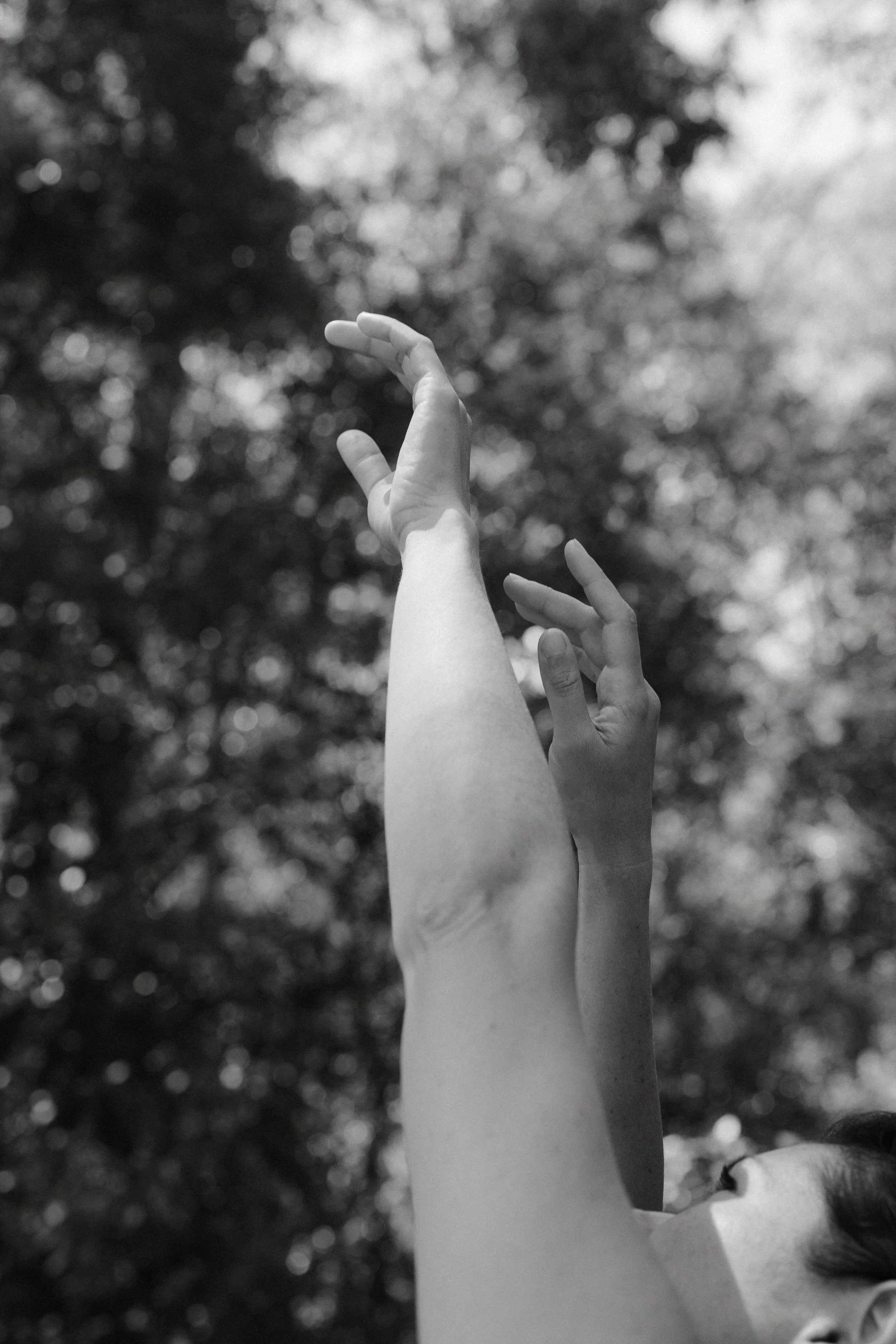 Black and white photo of a person's arm and hand extended upward, with fingers gently curved, against a blurred background of trees and sky.