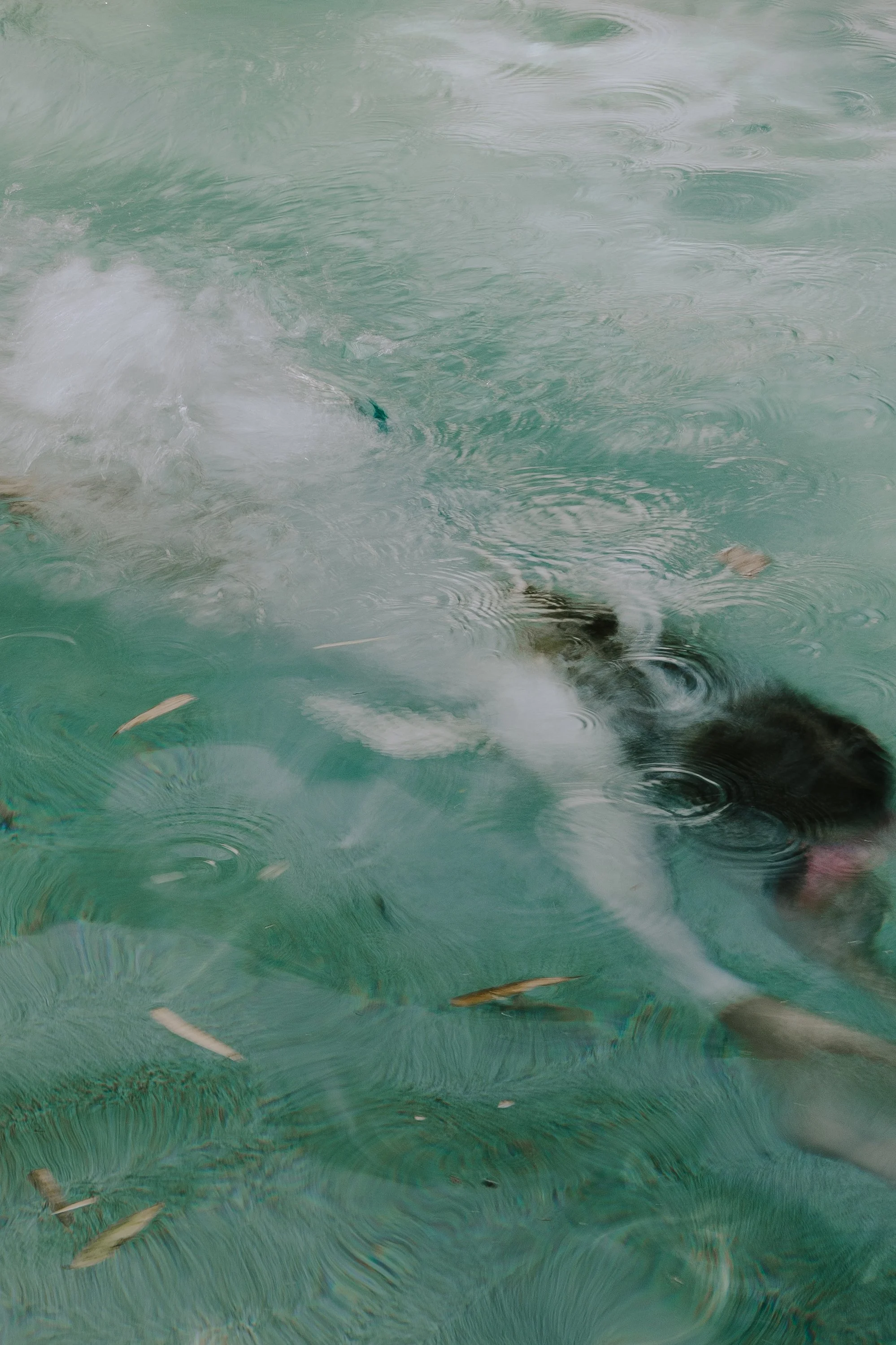 A child swimming in a turquoise body of water with some floating debris and ripples on the surface looking like a painting. 