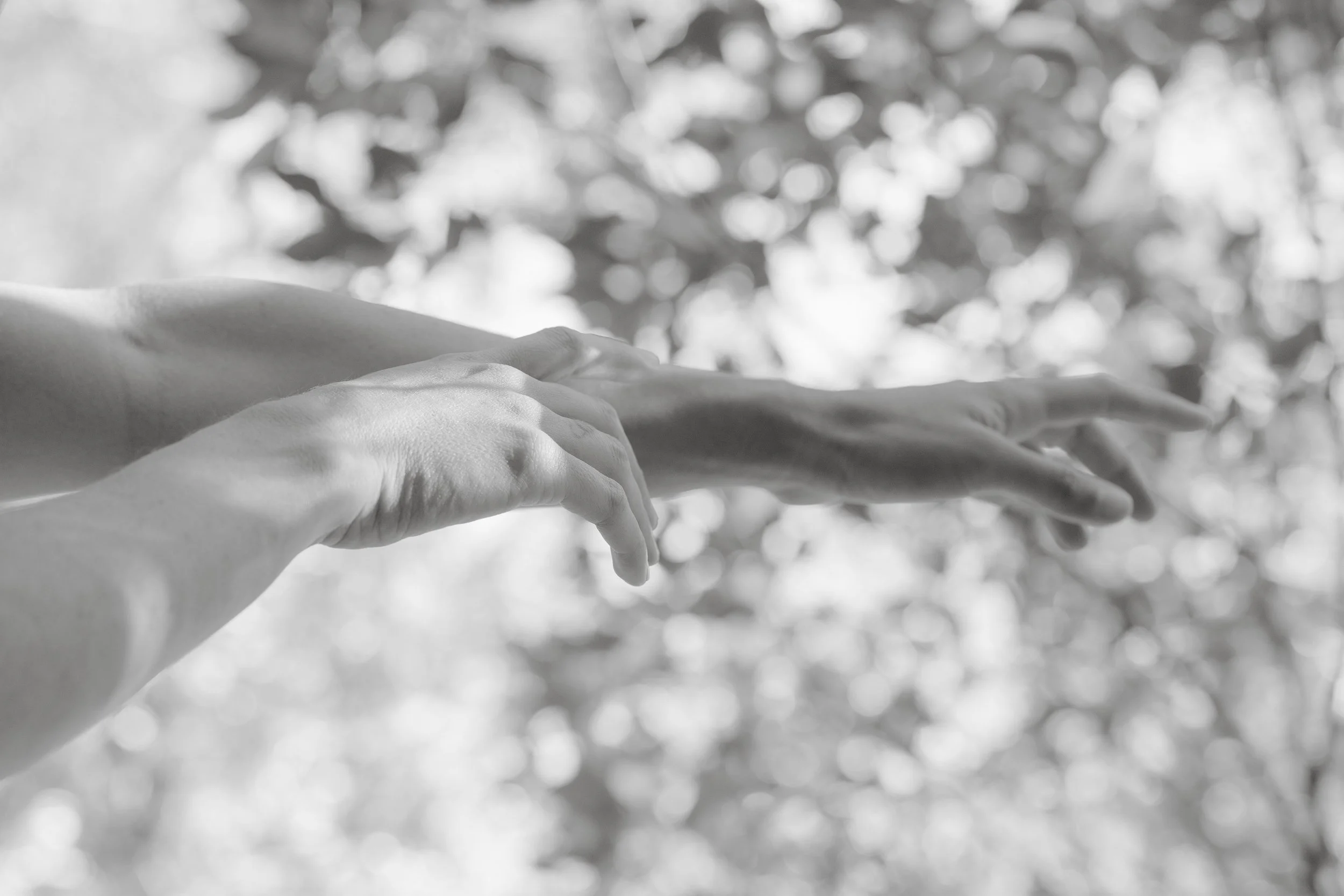 Black and white photo of two hands reaching out towards each other with a blurred background of leaves and light.