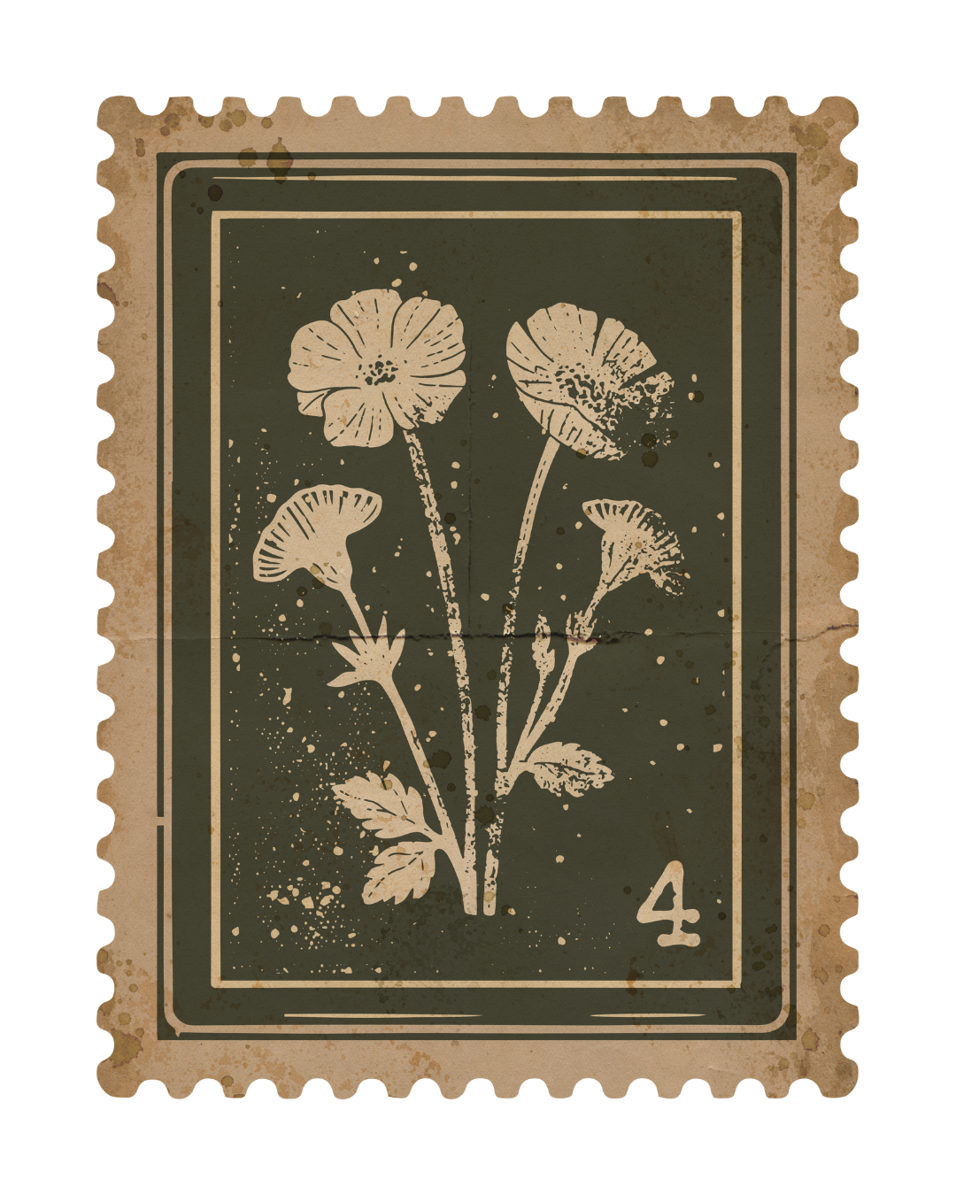 Vintage botanical illustration of a flower with three blooms and leaves, numbered 4, on aged paper with decorative border.