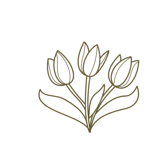 Outline drawing of three tulip flowers with leaves on a black background.
