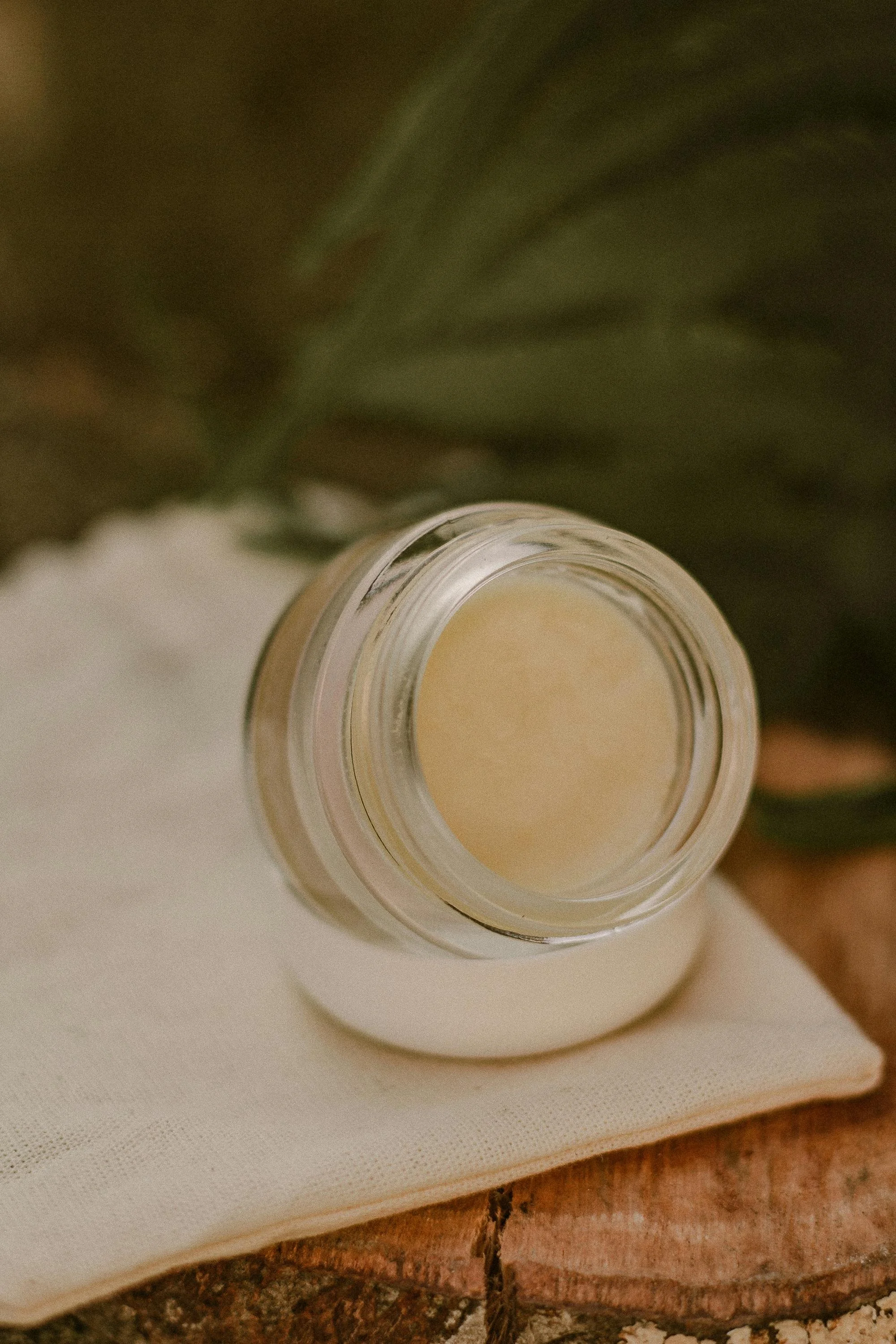 Tallow Lip Butter - Creamy Vanilla Mint