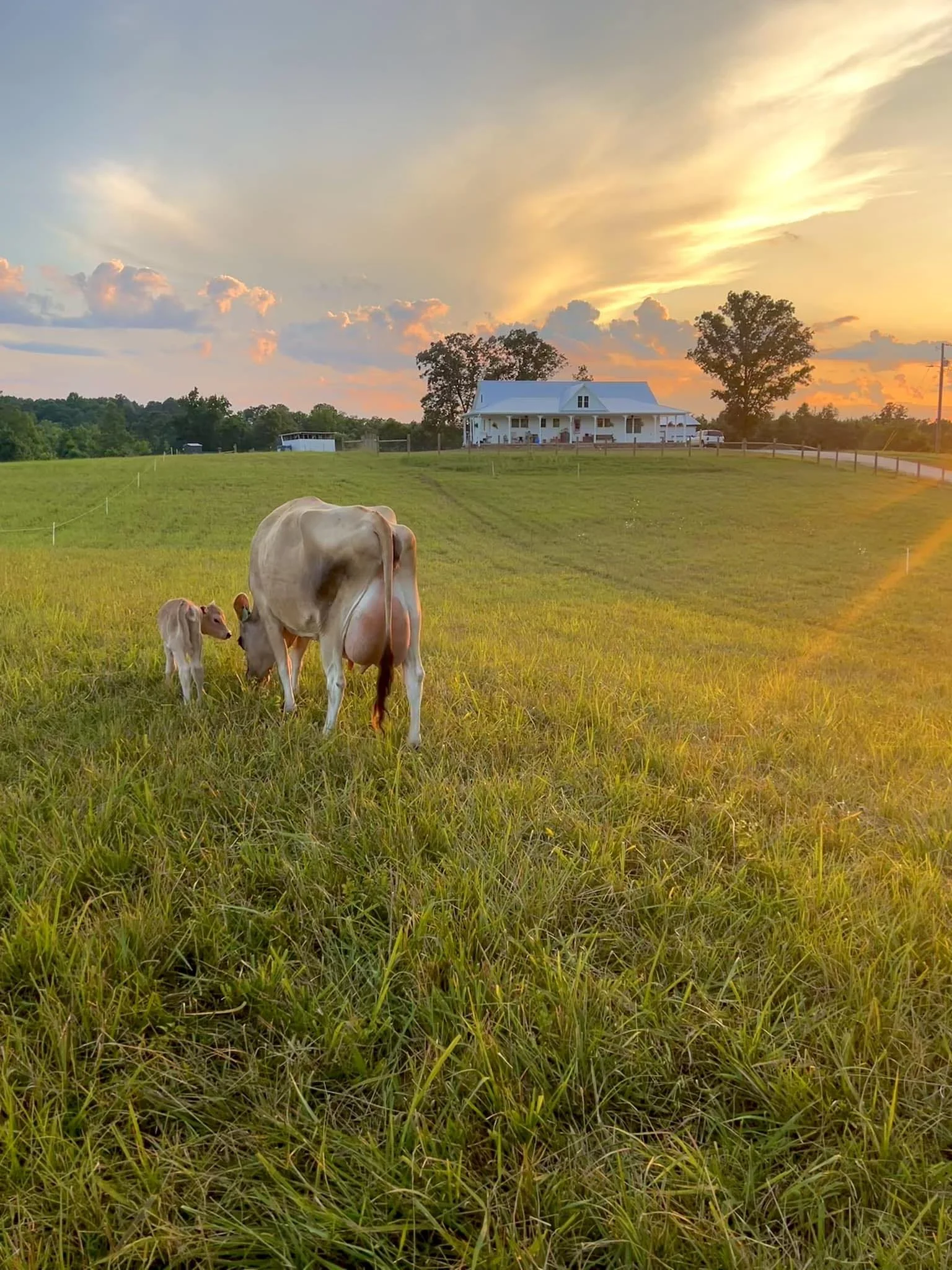 ginny baby chance sunset.jpg