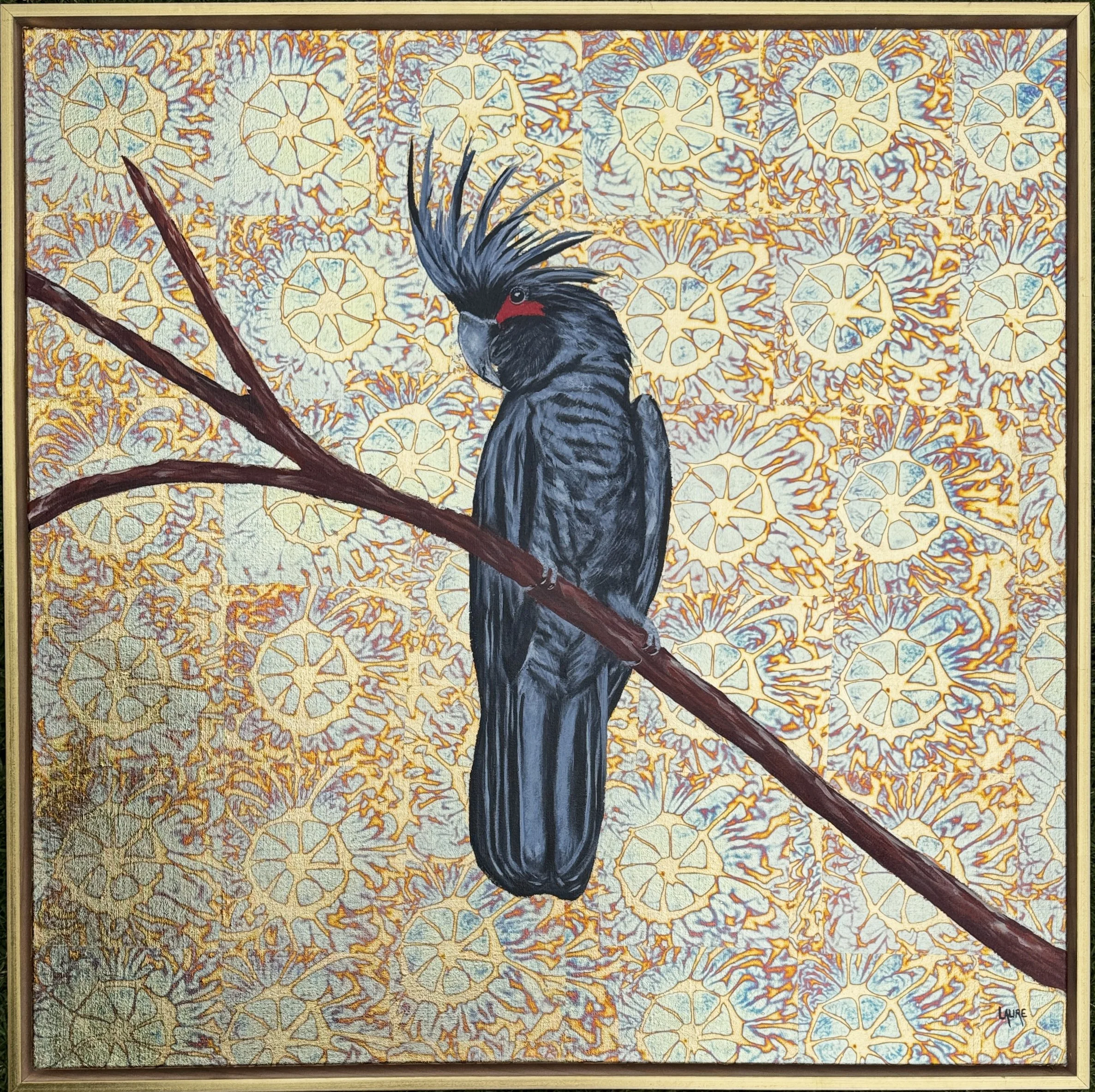 Imperial palm cockatoo