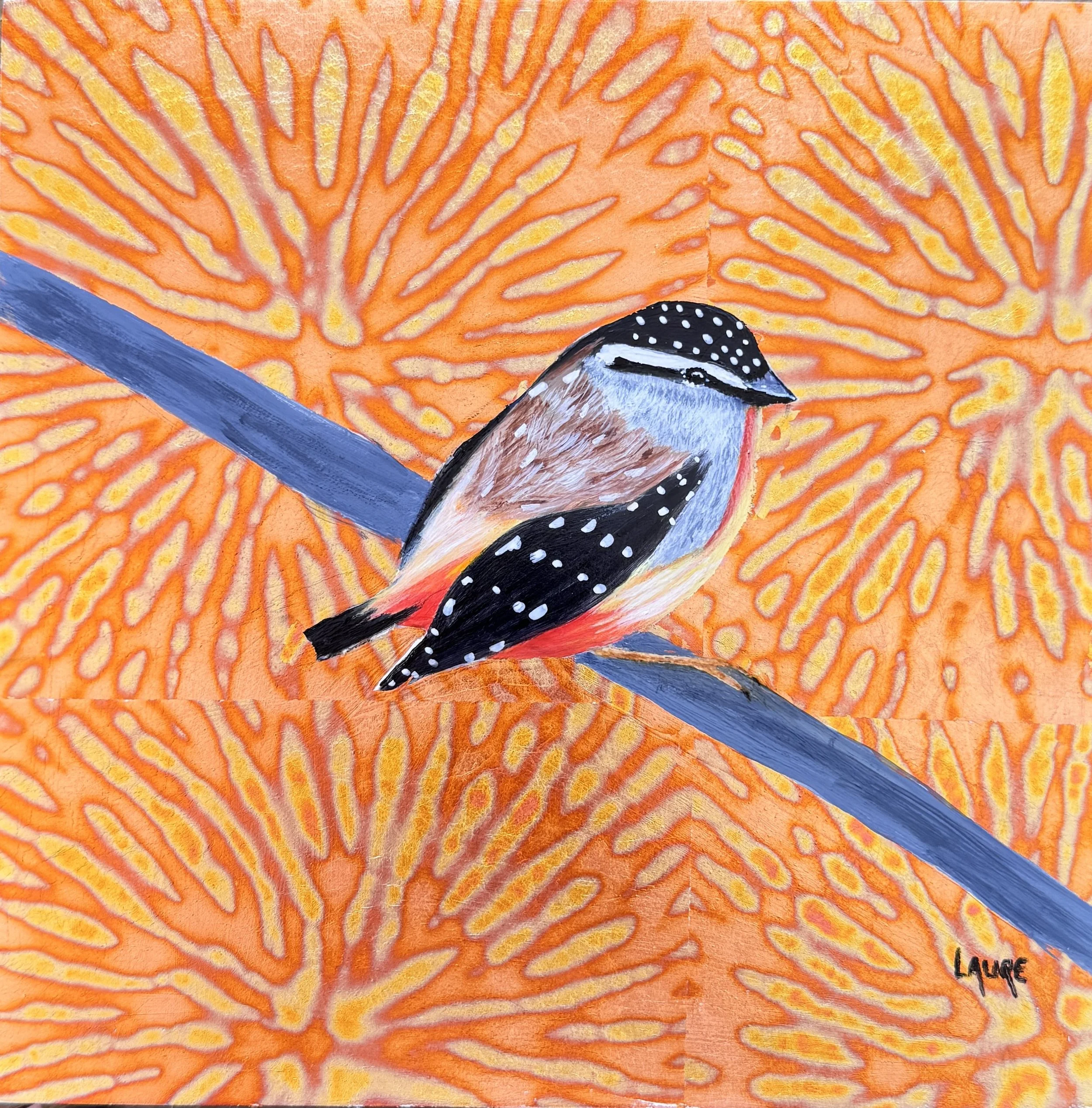 Pardalote in golden bush