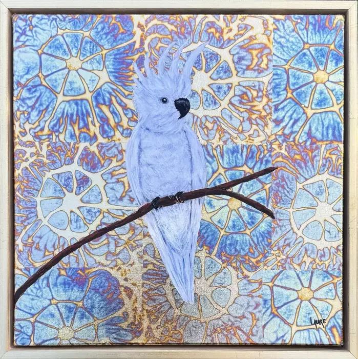 White cockatoo in golden bush