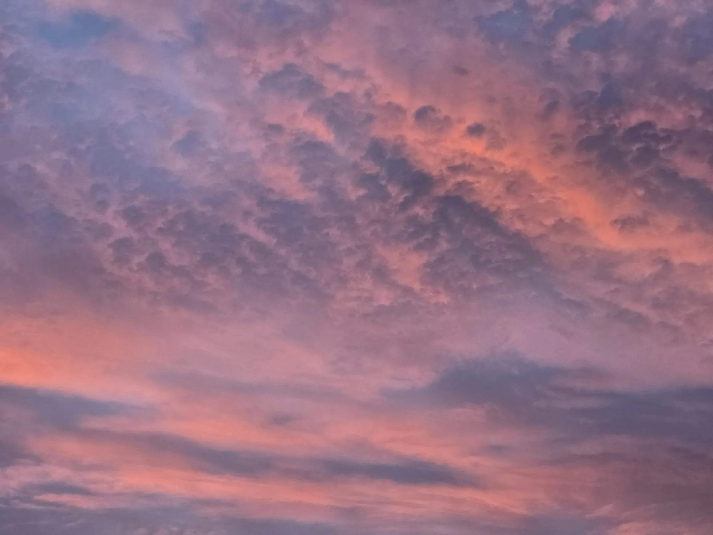 Photo Martha Campo- Amanecer Valais