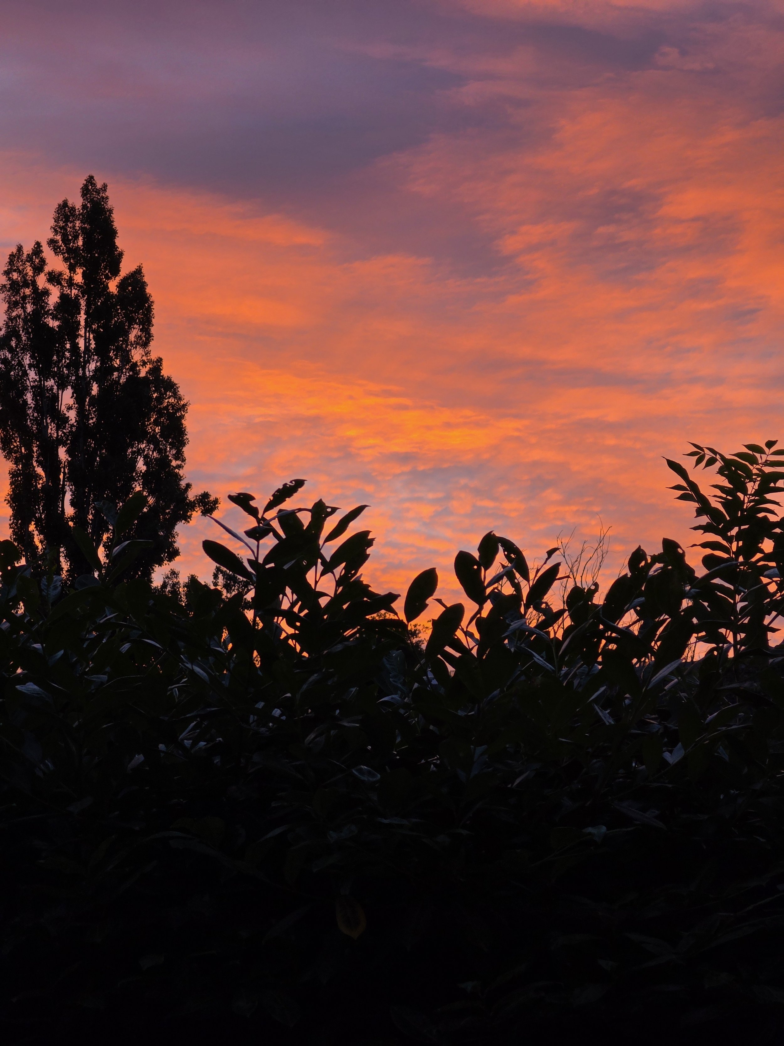 Amanecer- Photo Martha Campo