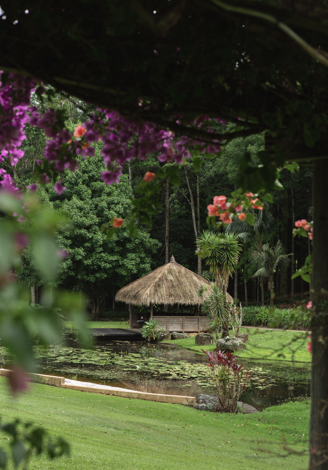 Screenshot 2025-11-23 at 5.55.24 pm.png