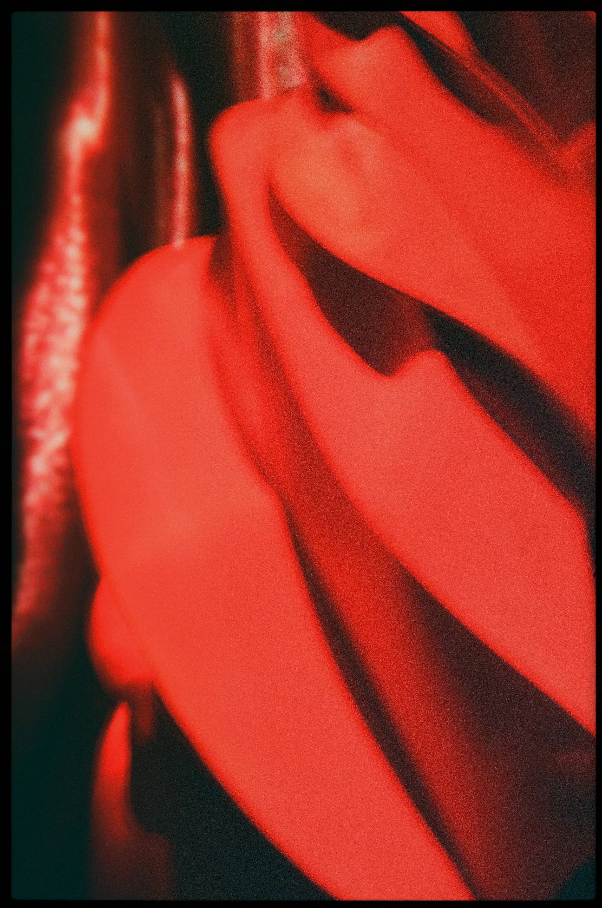 000992220024.jpg