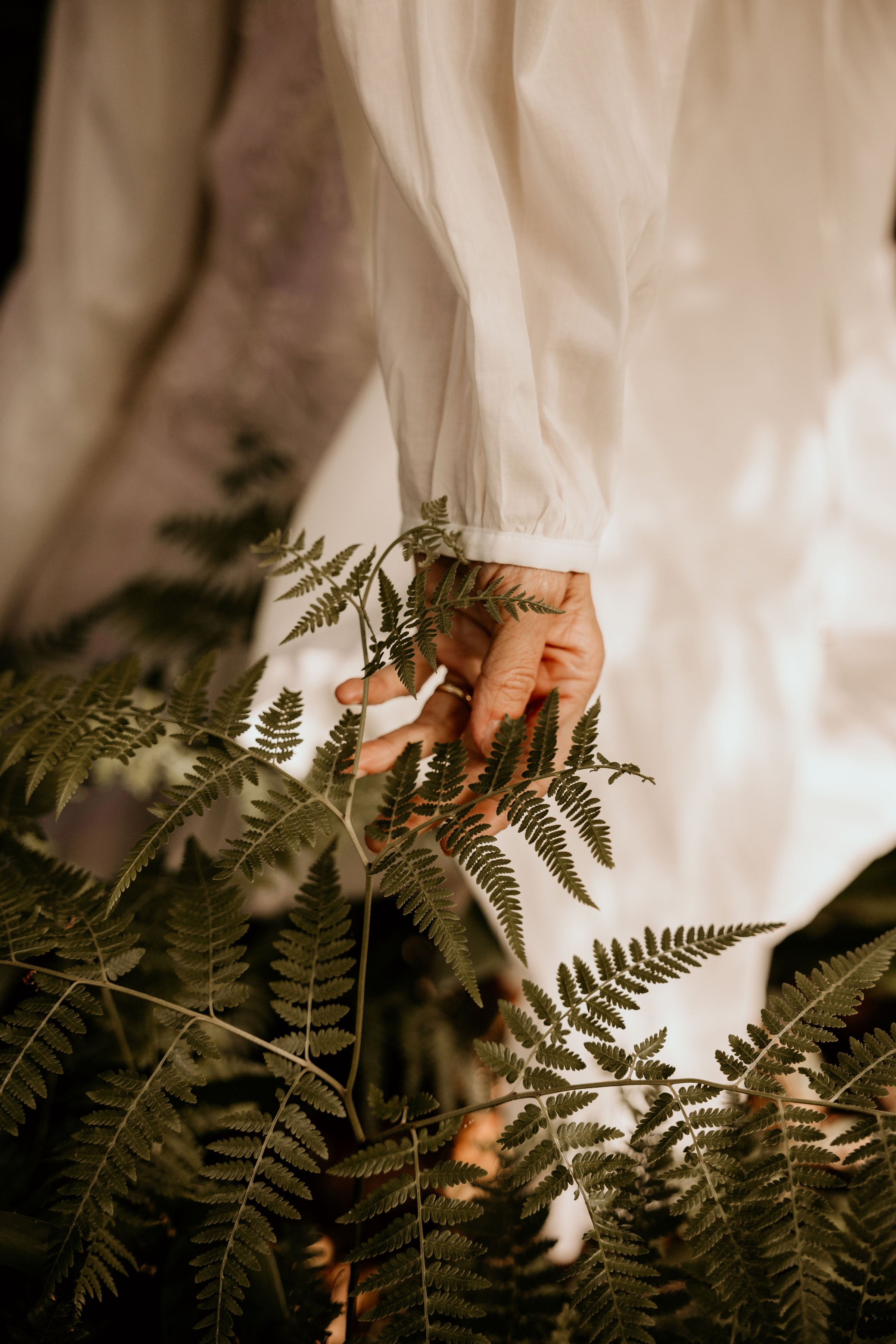 A person in a white long-sleeve shirt is holding fern leaves, with more ferns visible in front of and behind them.