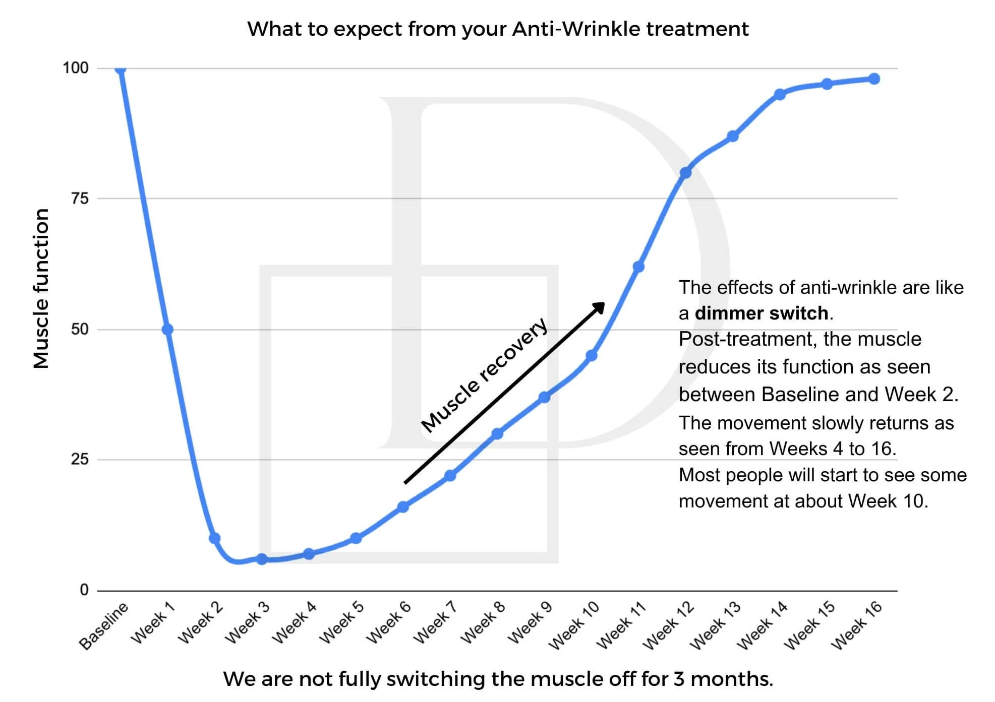 Line graph showing muscle function levels over 16 weeks of anti-wrinkle treatment, with a sharp decline at baseline, gradual recovery towards week 16, illustrating muscle recovery process.