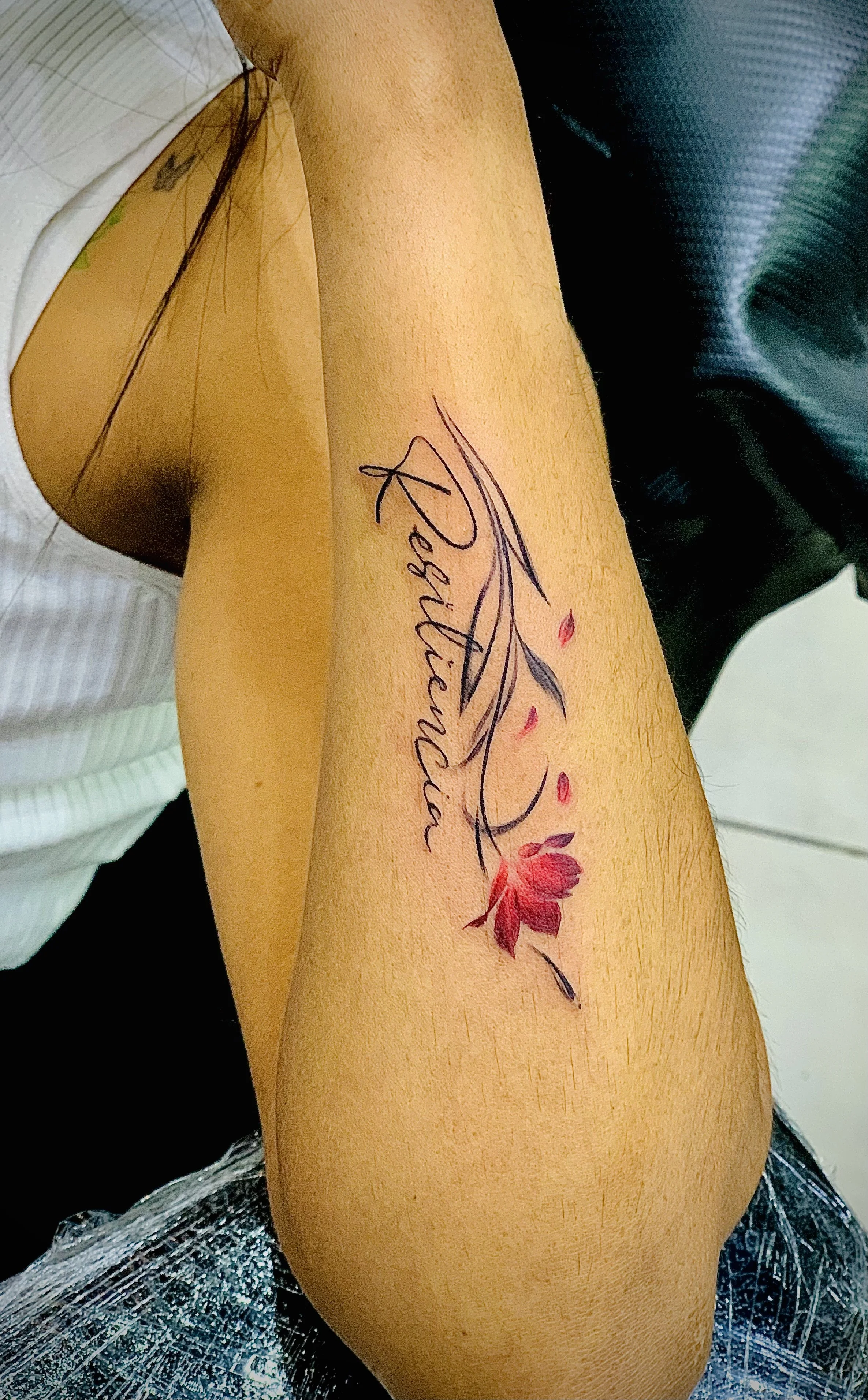 El mejor estudio de tatuajes en los cabos o en cabo san lucas perforaciones para nariz en mexico lo conocemos como pircin o tatu tambien decimos tato y siempre buscamos lo mas barato