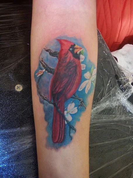 Tattoo of a red cardinal bird perched on a branch with white flowers, with a blue background.