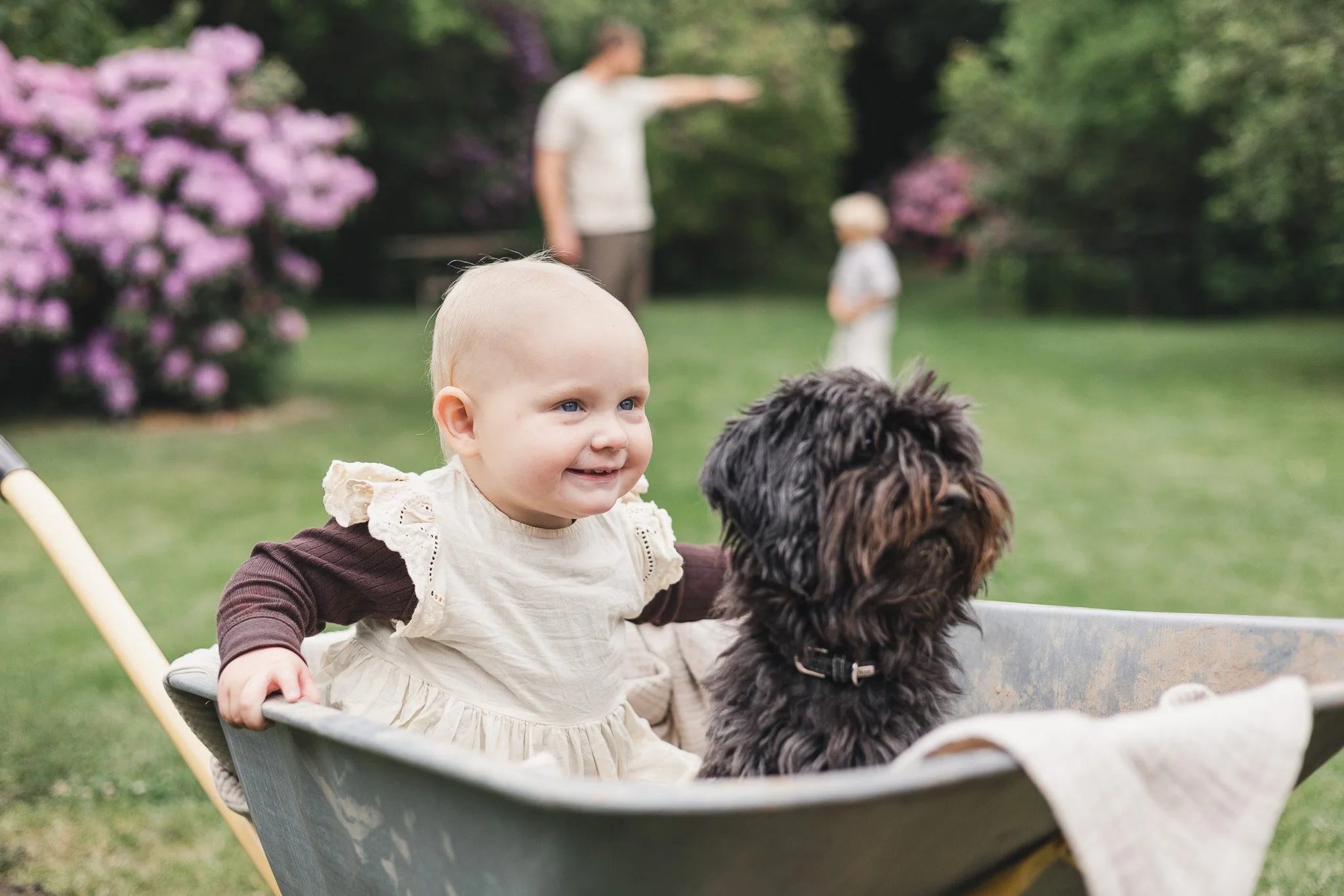 Lille pige sidder i trillebørn med hund til familiefotografering fotograferet udendørs