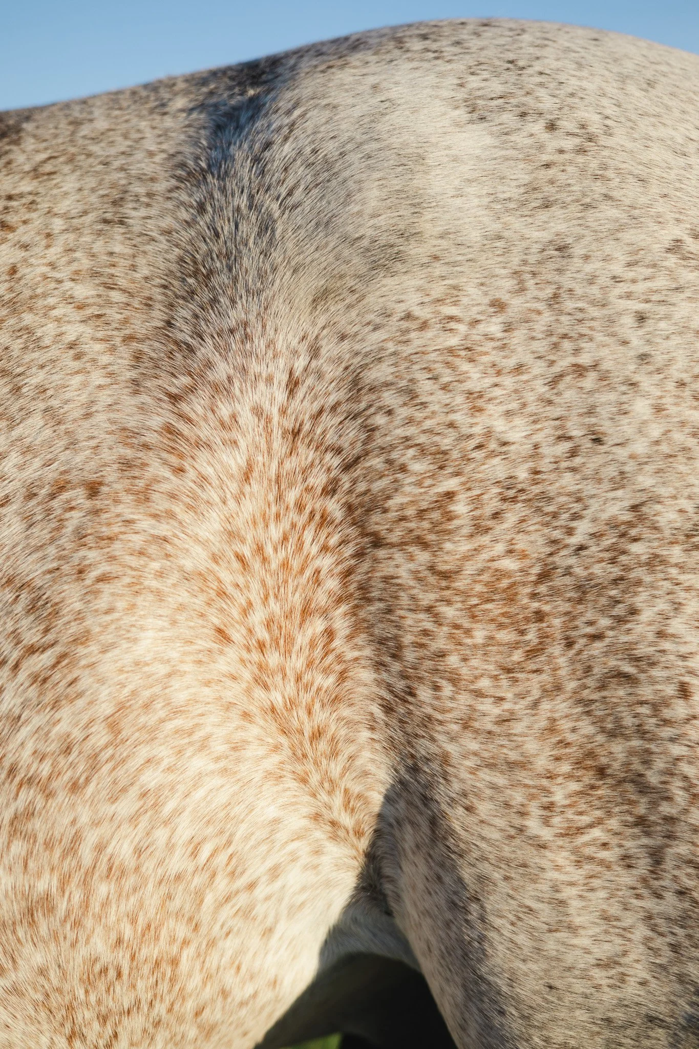 BM6A8273.jpg