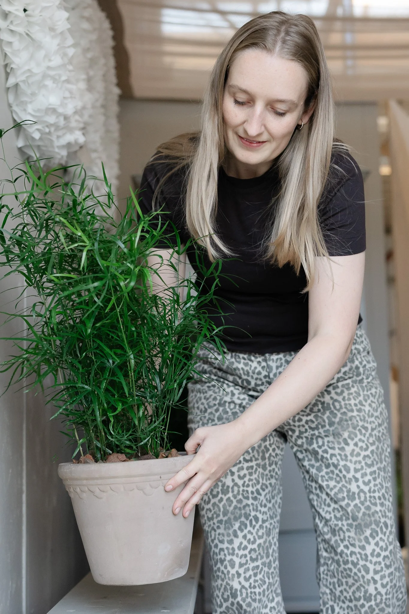 En kvinde holder en stor potteplante med grønne blade, iført leopardmønstrede bukser og en sort T-shirt, indendørs.