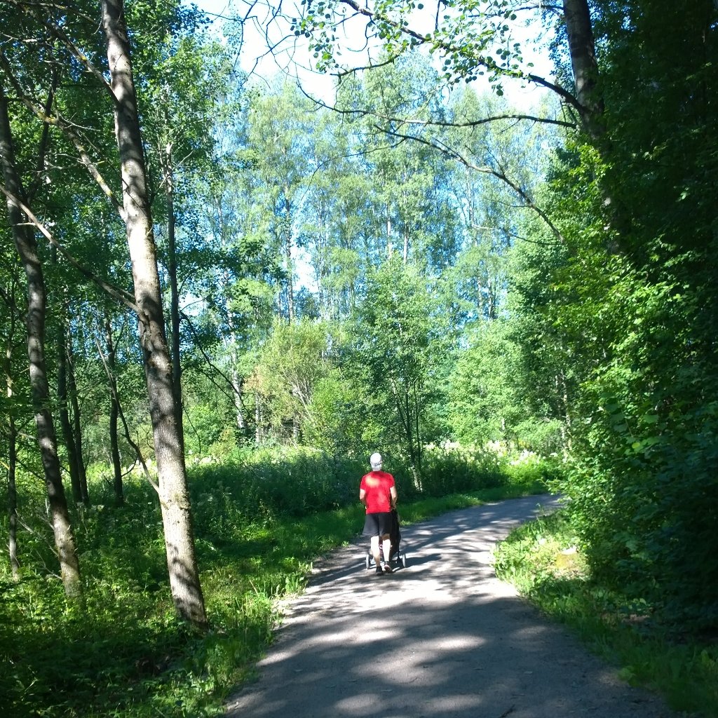 Kesäinen metsäpolku sopii kävelyyn, juoksuun ja ulkoliikuntaan kesälomalla