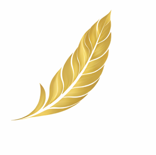 General Practice &amp; Medical Dermatology