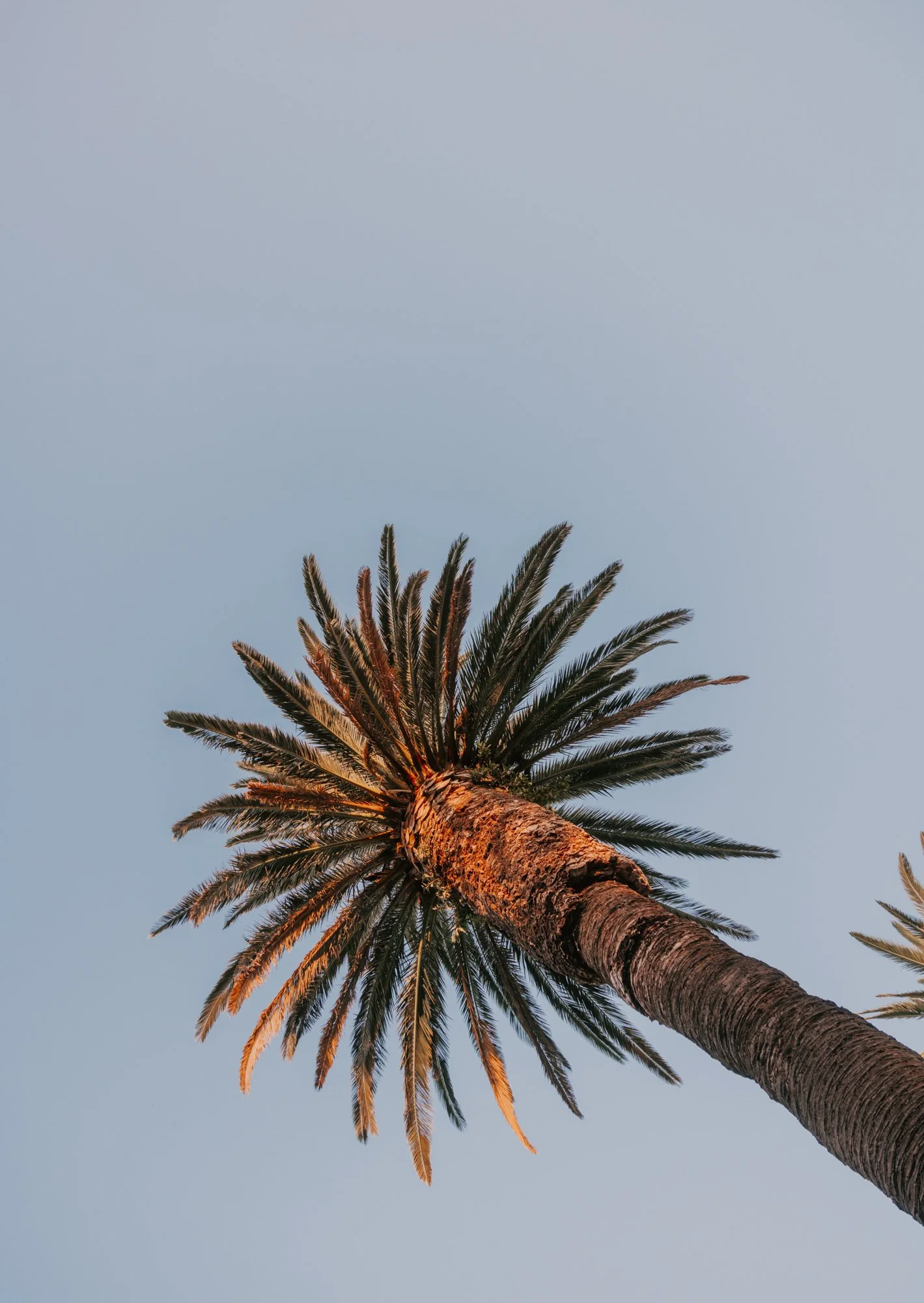 Door54 - fieldbar & nellie-4.jpg