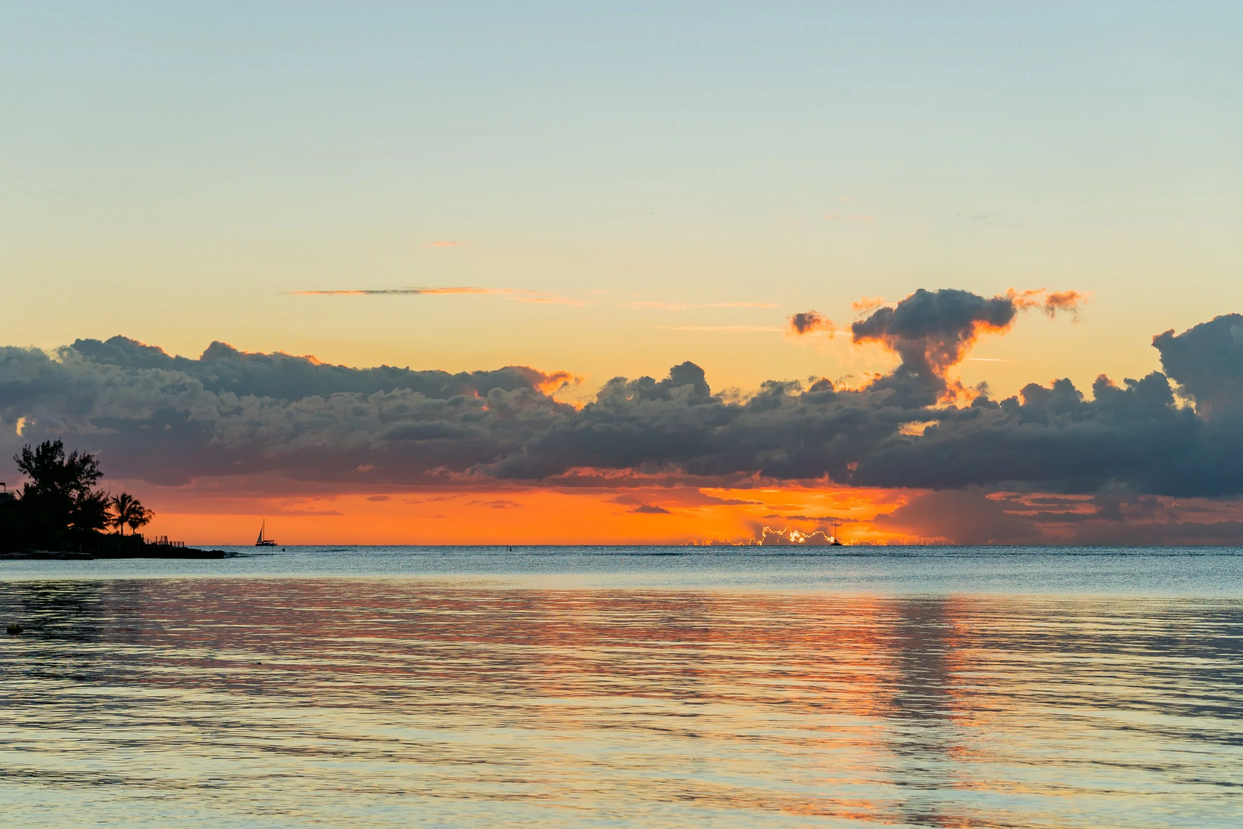 Ile Maurice 2025-225.jpg